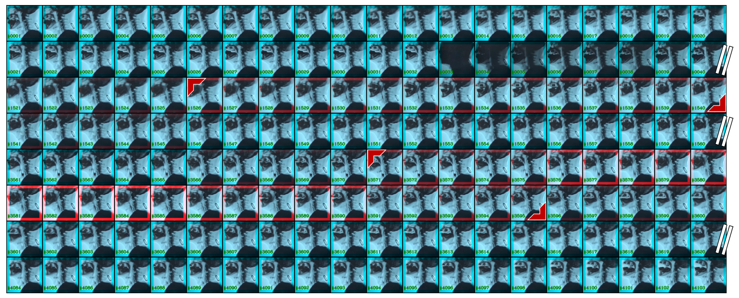 Sensors 19 03873 g006