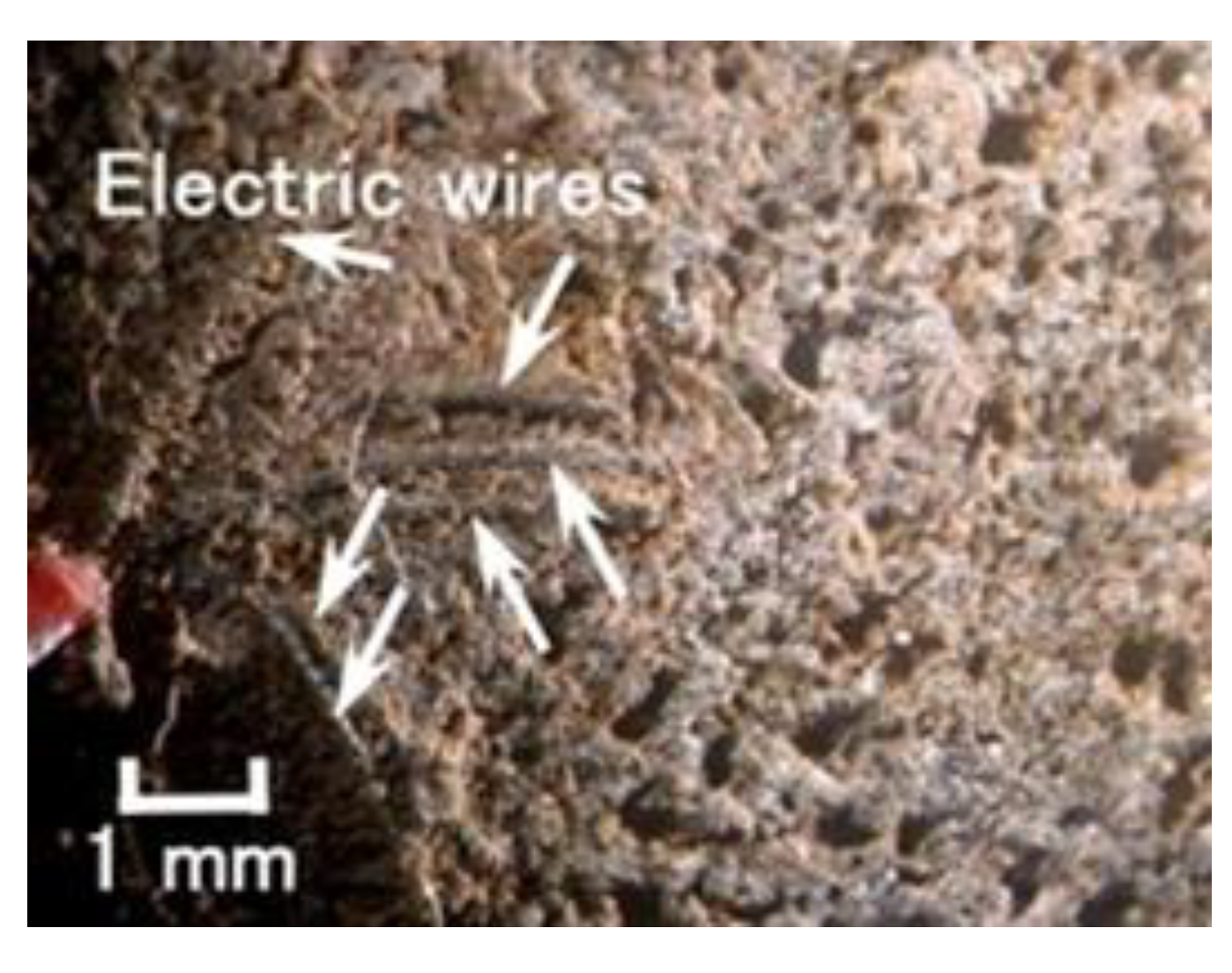 Sensors 19 03901 g008