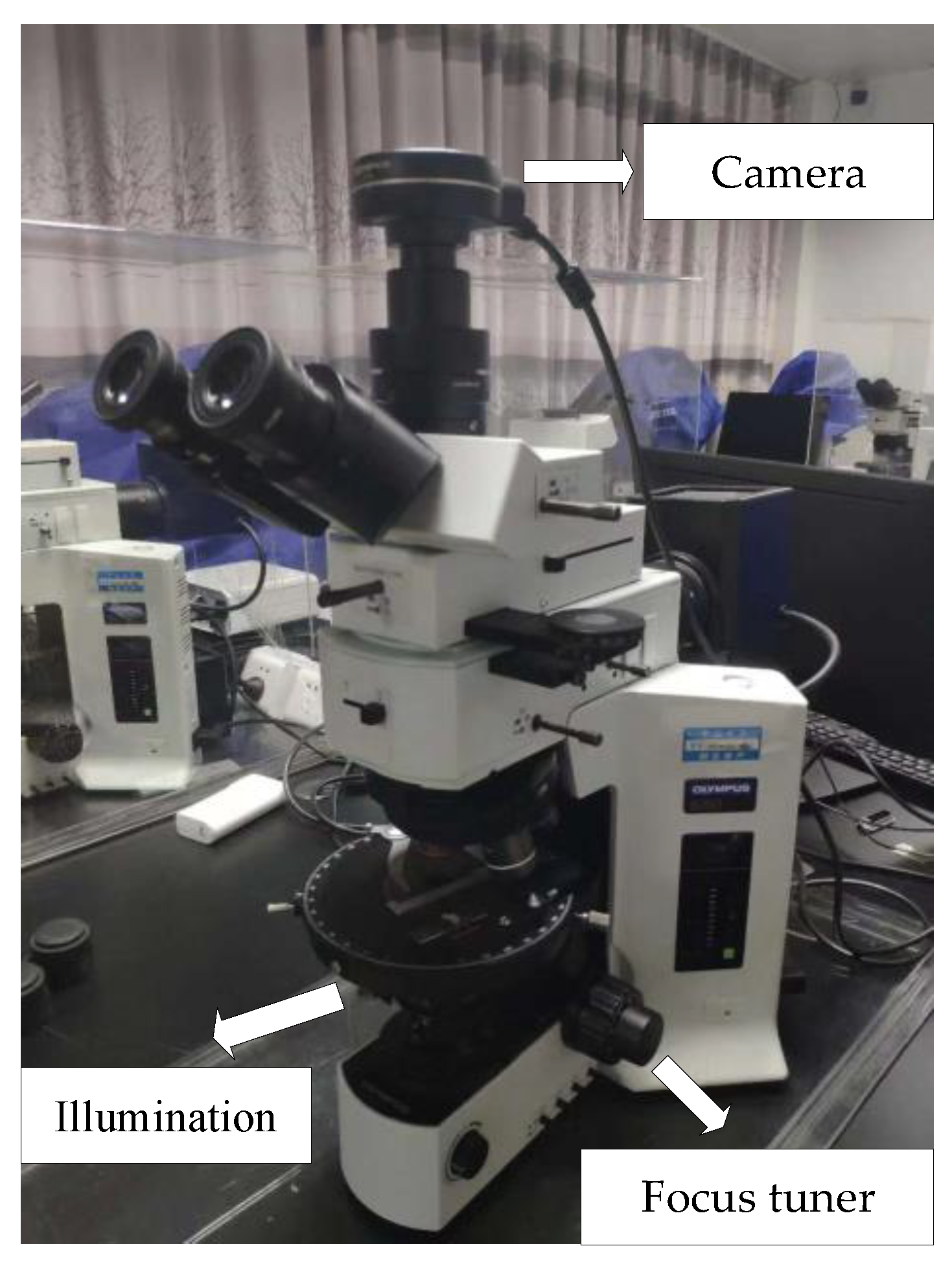 Sensors 19 03914 g006