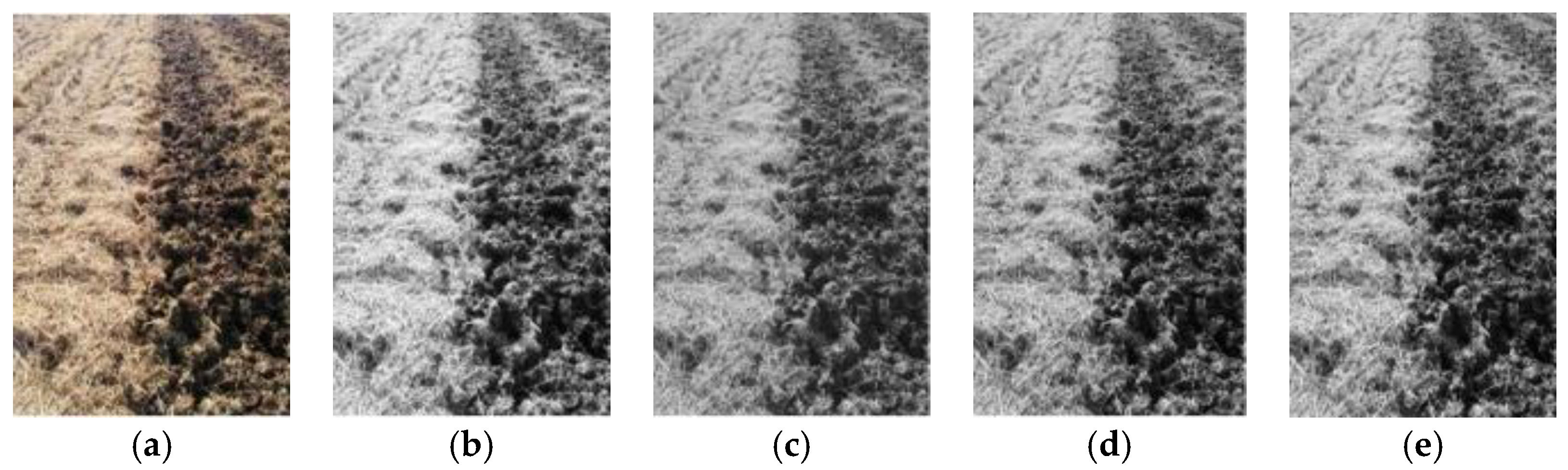 Sensors 19 03918 g007 Sensors 19 03918 g007