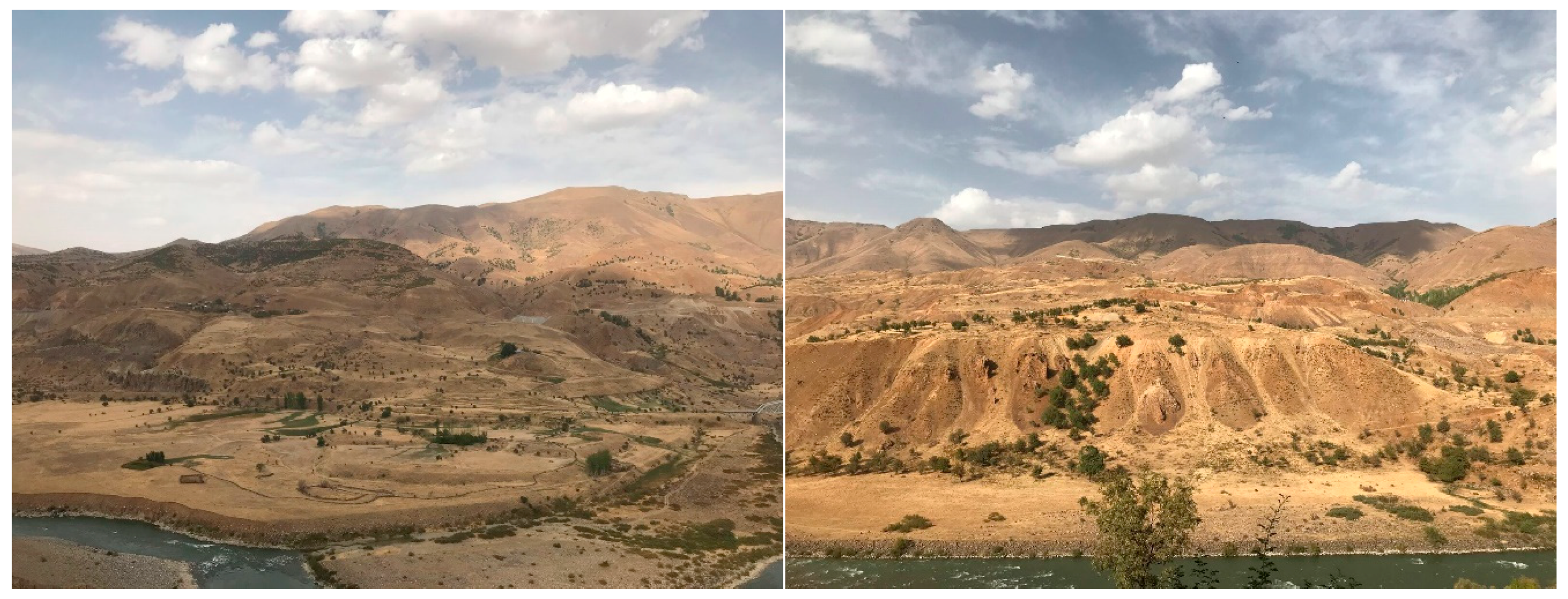 Sensors 19 03940 g002