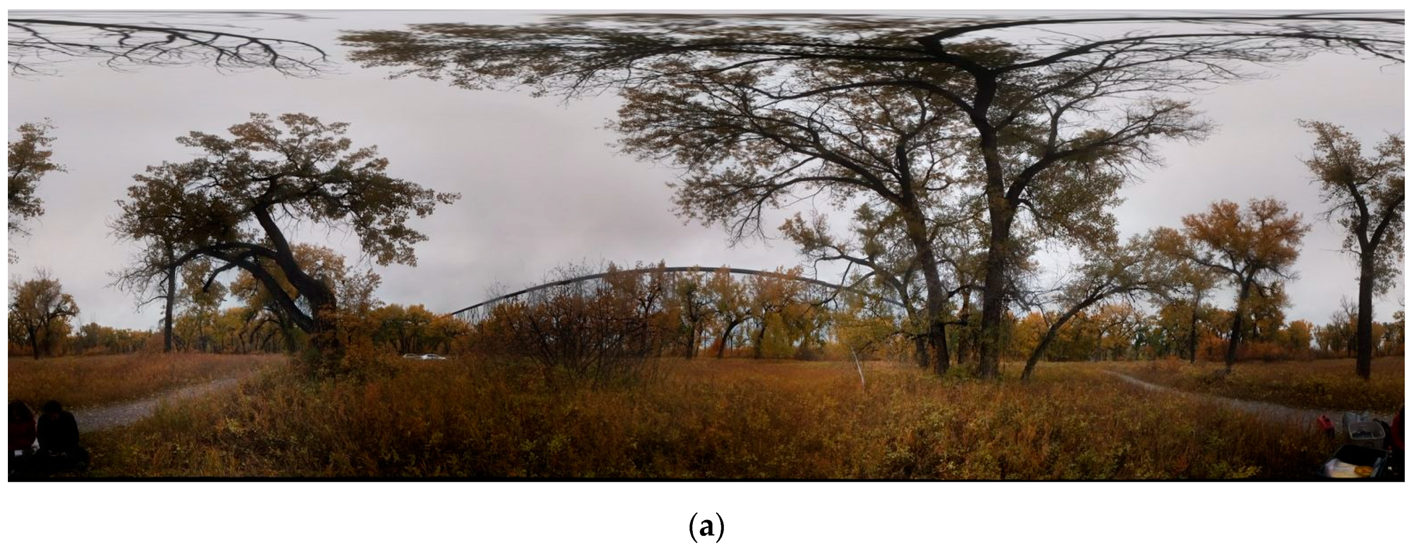 Sensors 19 03943 g007a