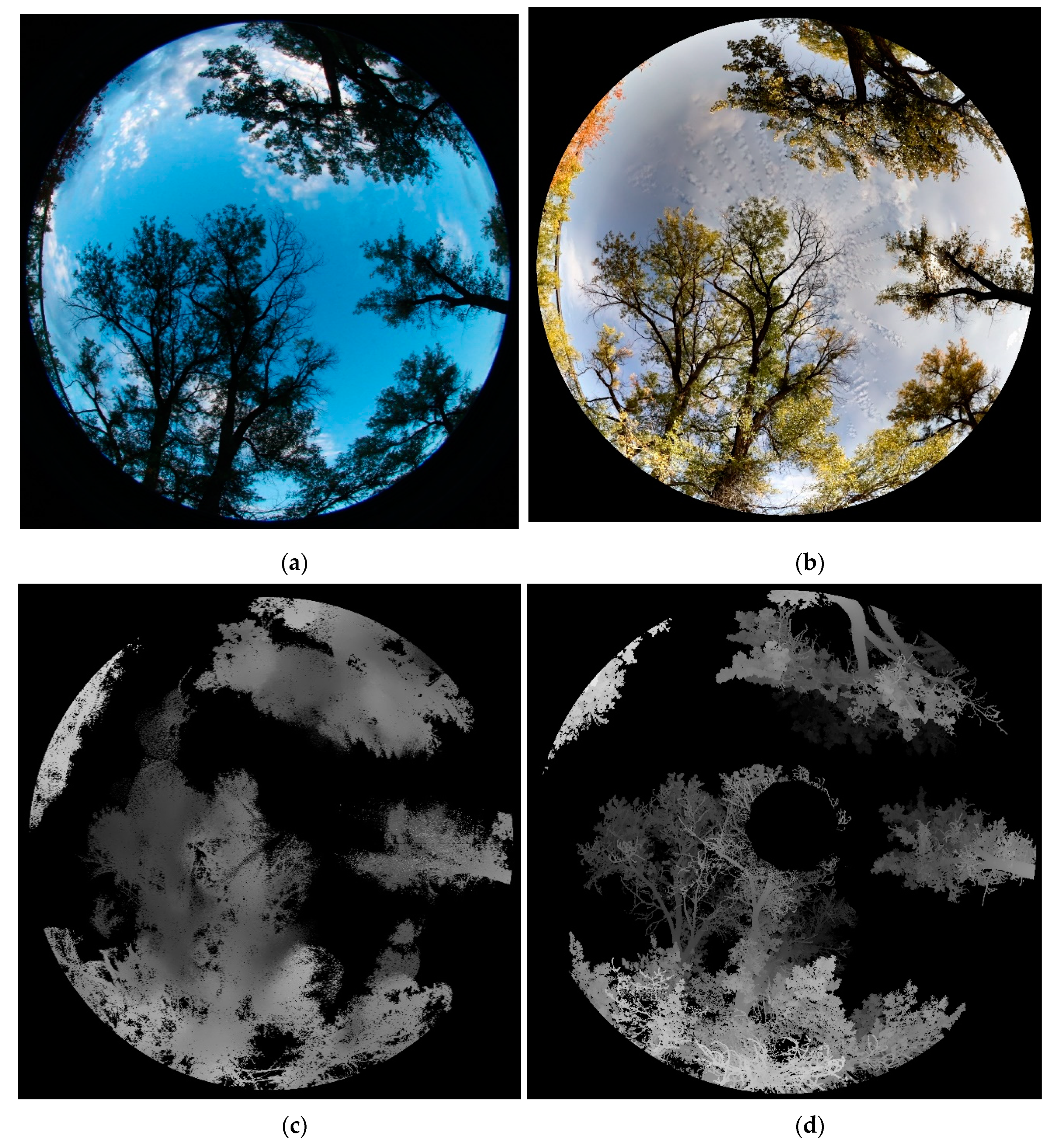 Sensors 19 03943 g011