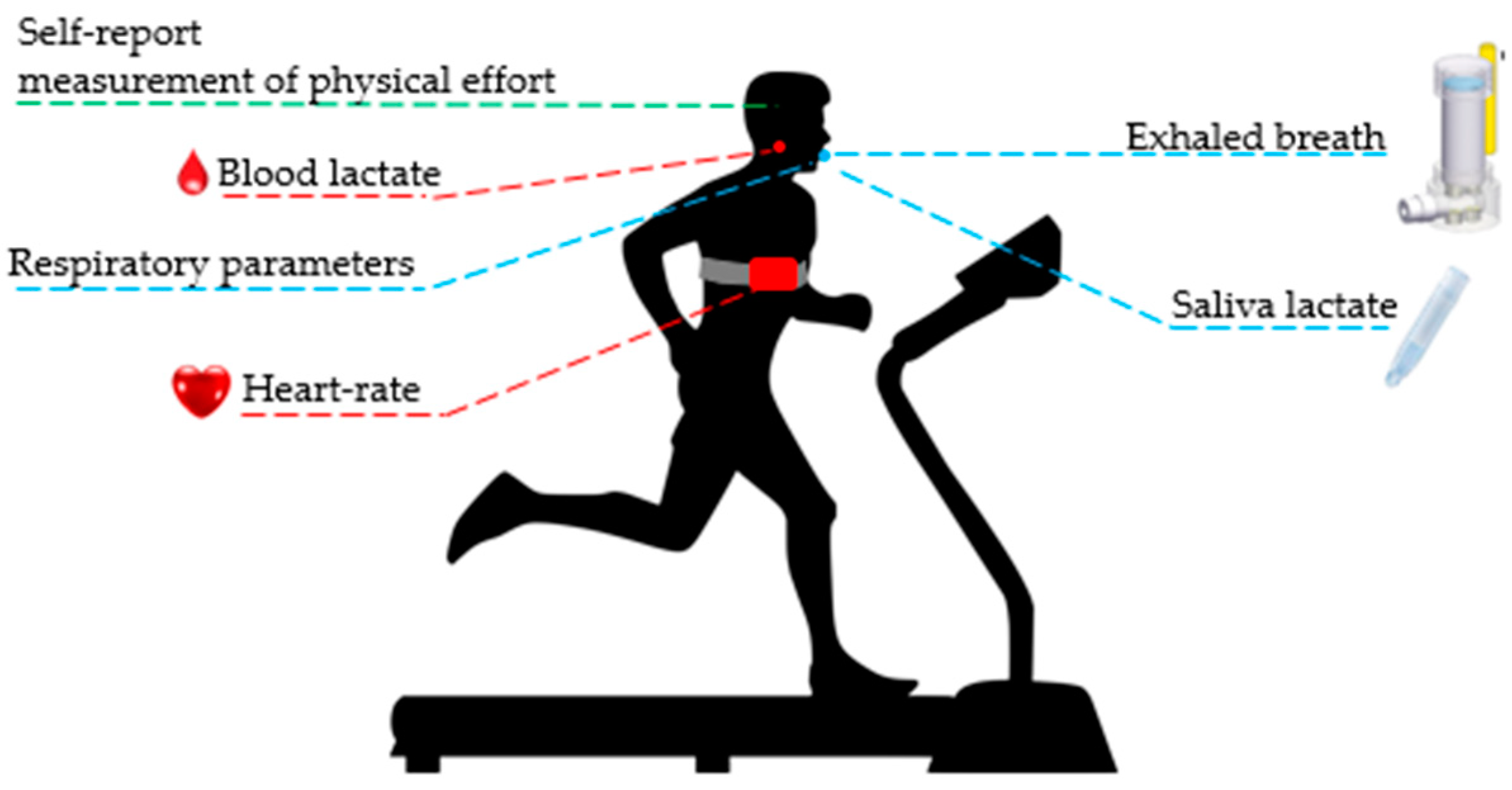 Sensors 19 03948 g002