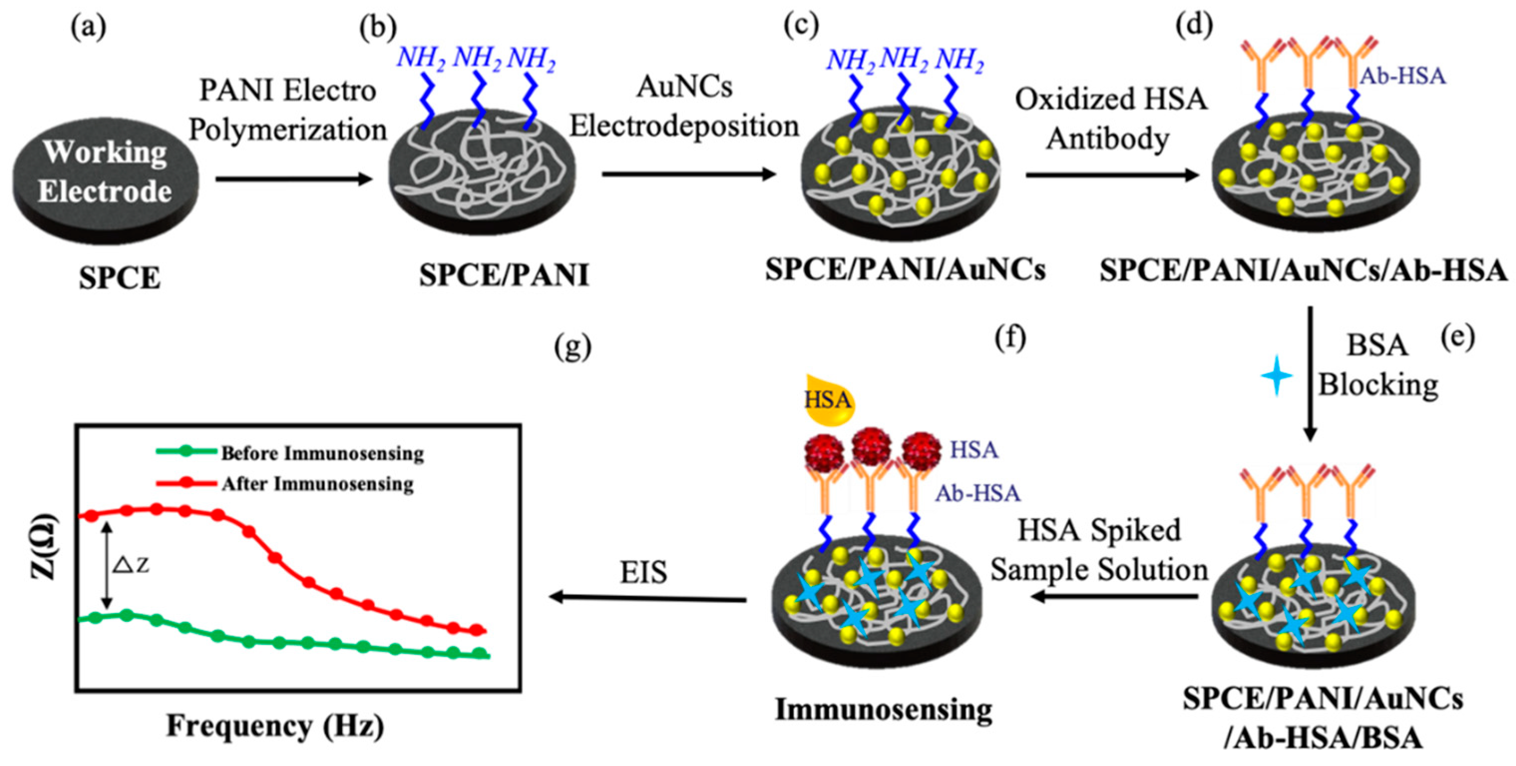 Sensors 19 03990 g002