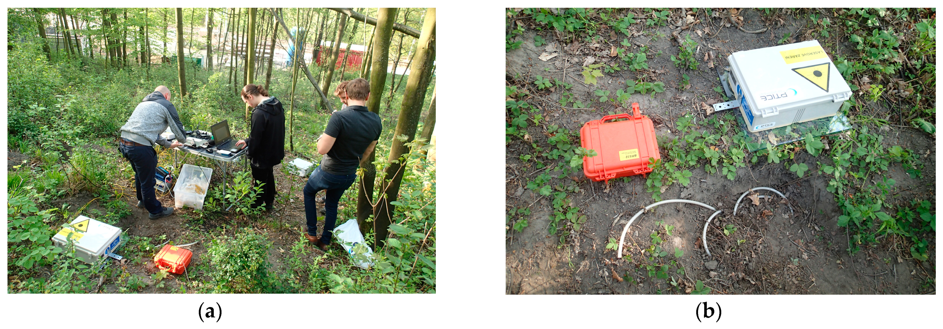 Sensors 19 04084 g010