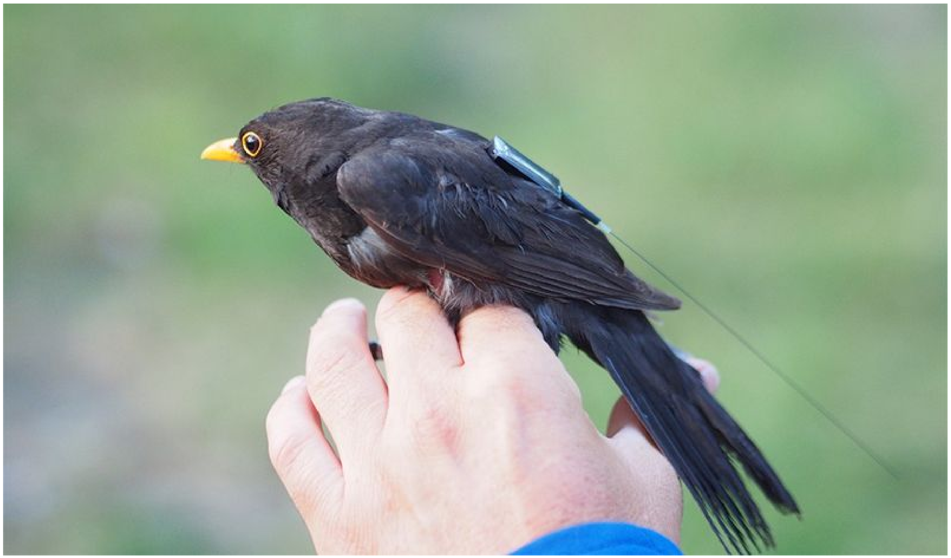 Sensors 19 04212 g002