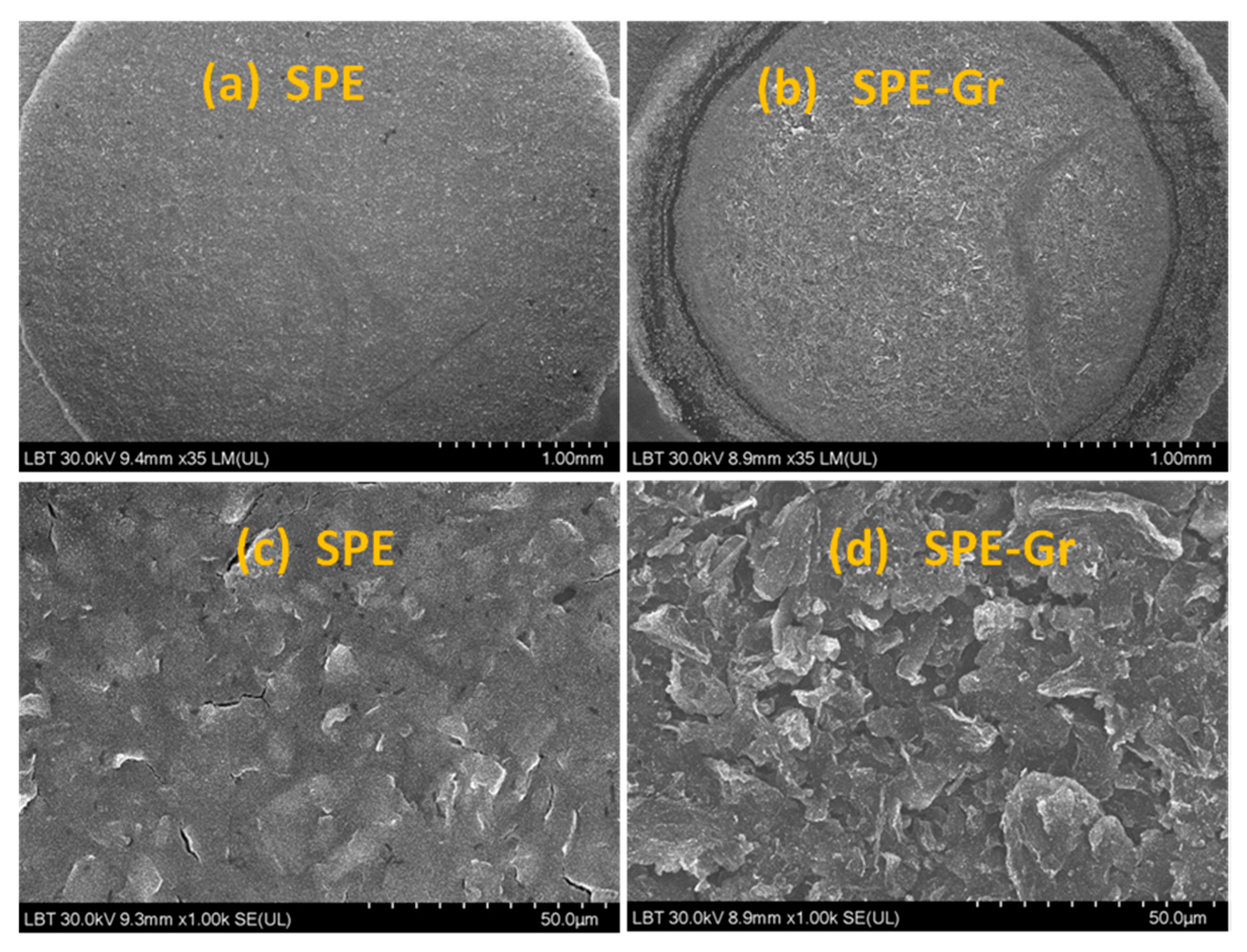 Sensors 19 04297 g004