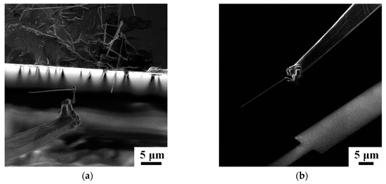 Sensors 19 04358 g0a1
