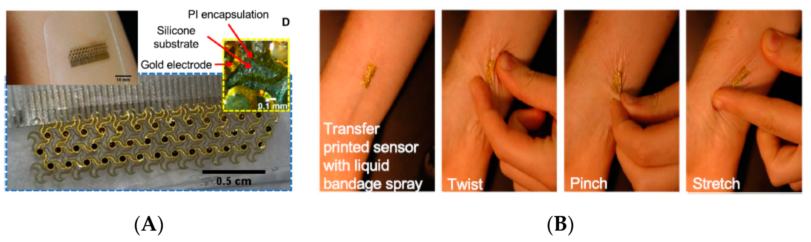 Sensors 19 04376 g001