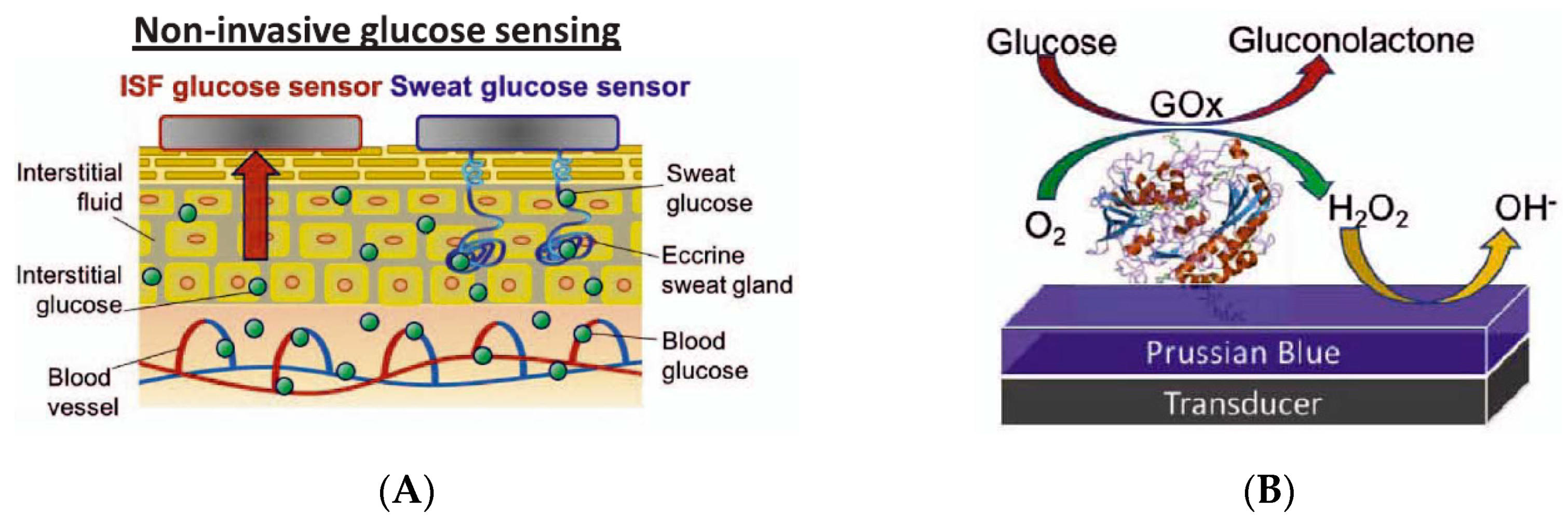 Sensors 19 04376 g008a