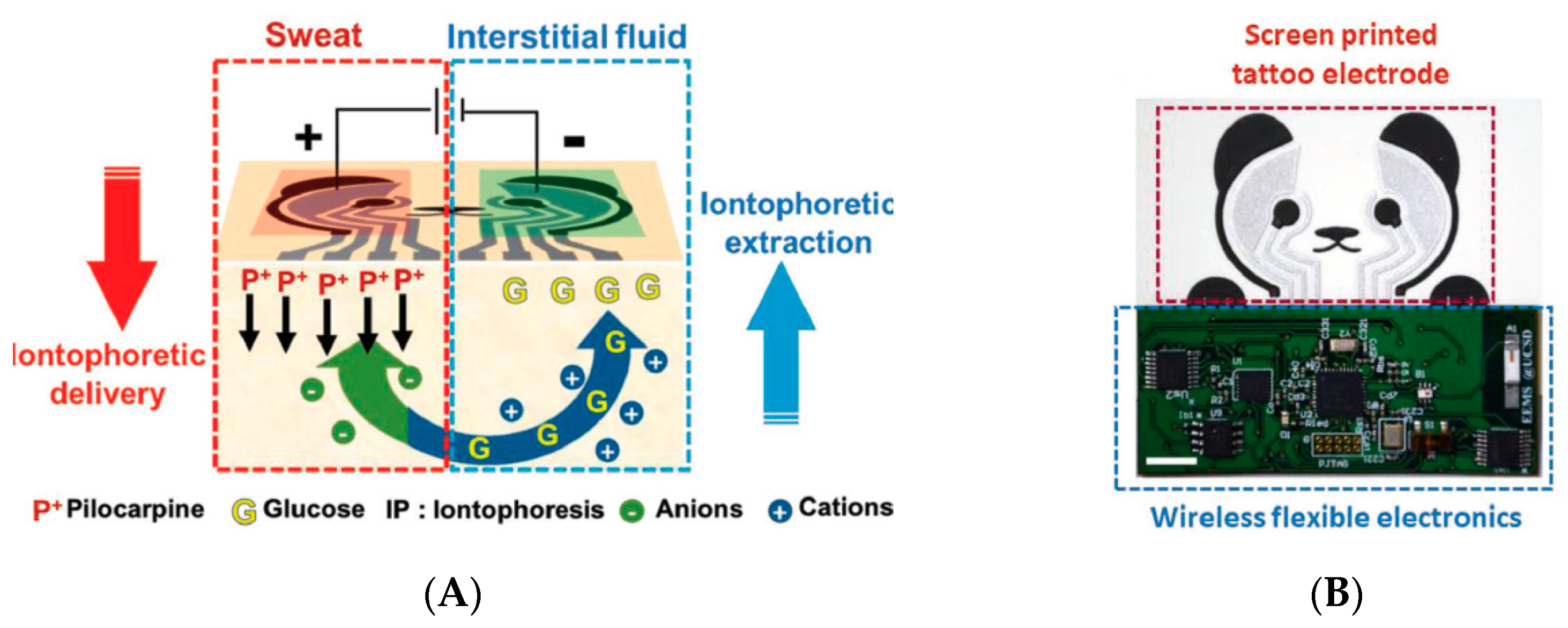 Sensors 19 04376 g009a