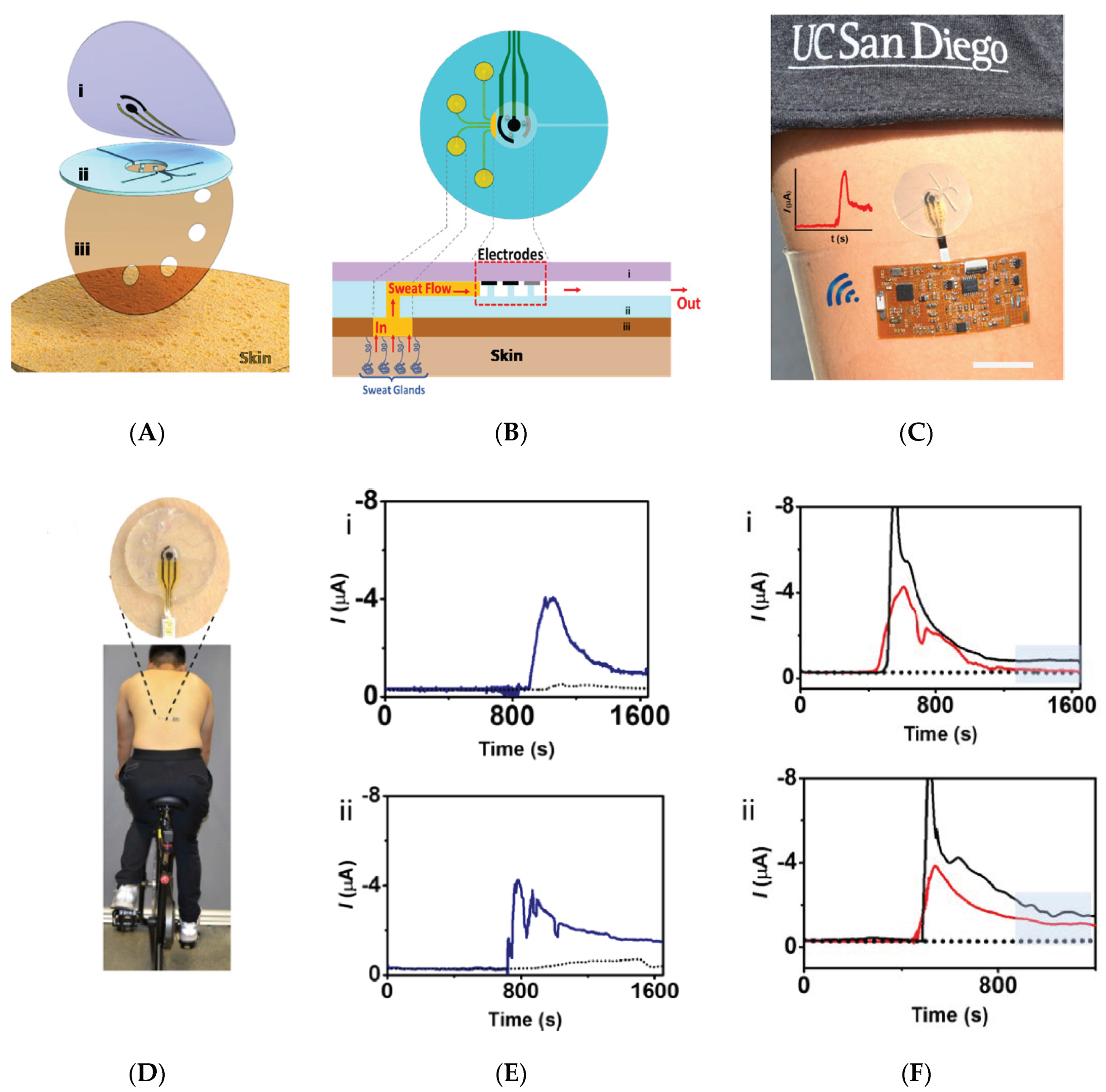Sensors 19 04376 g012
