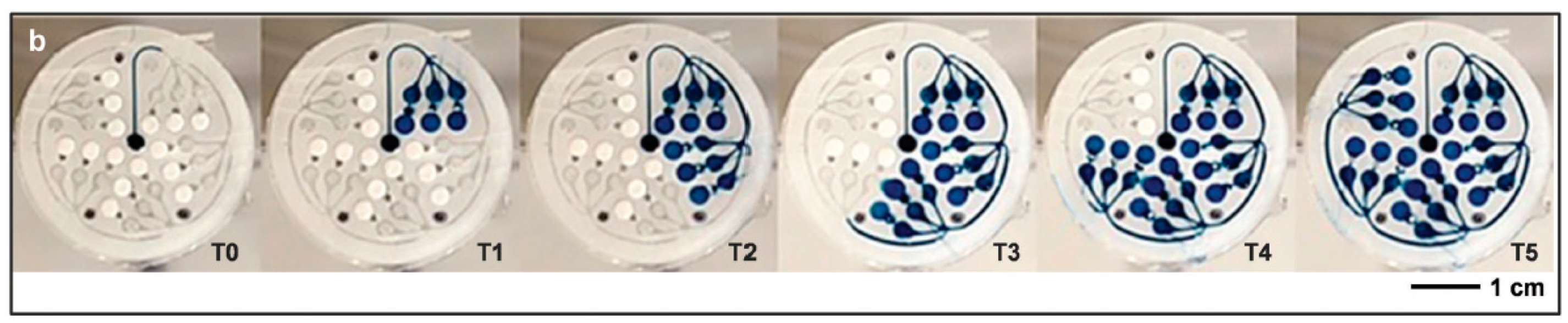 Sensors 19 04376 g015
