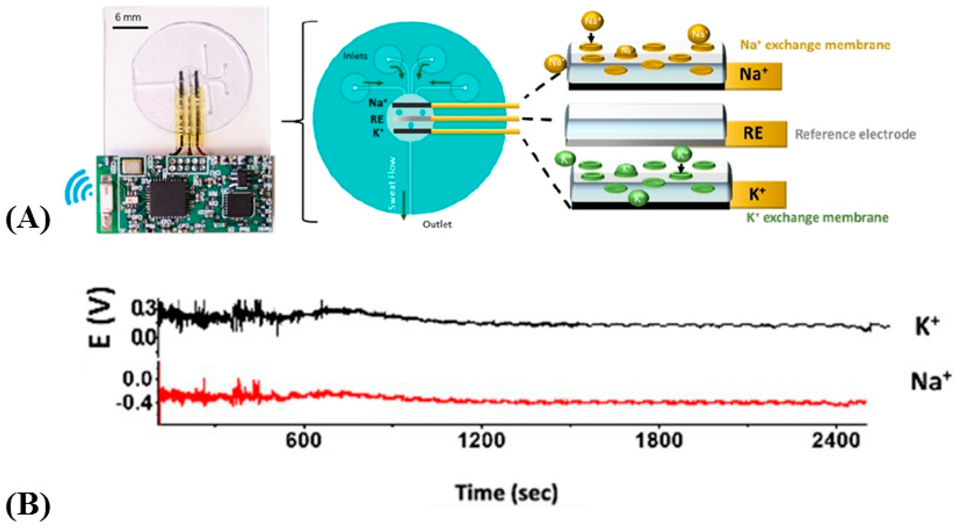 Sensors 19 04376 g016