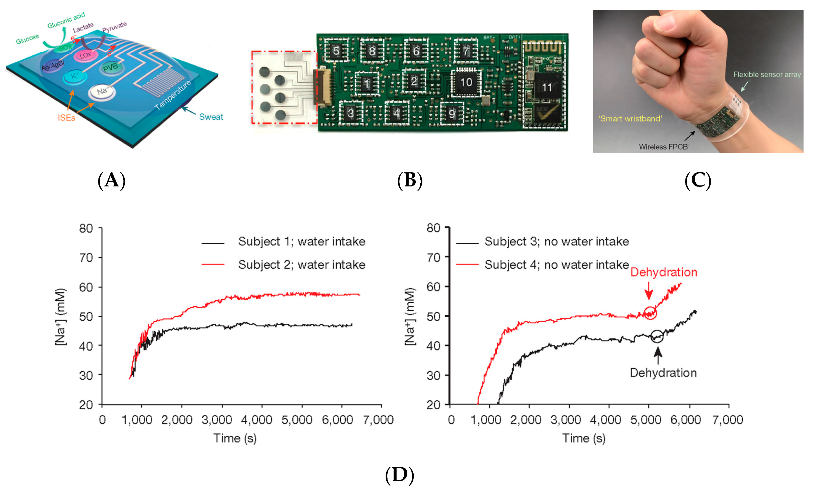 Sensors 19 04376 g017