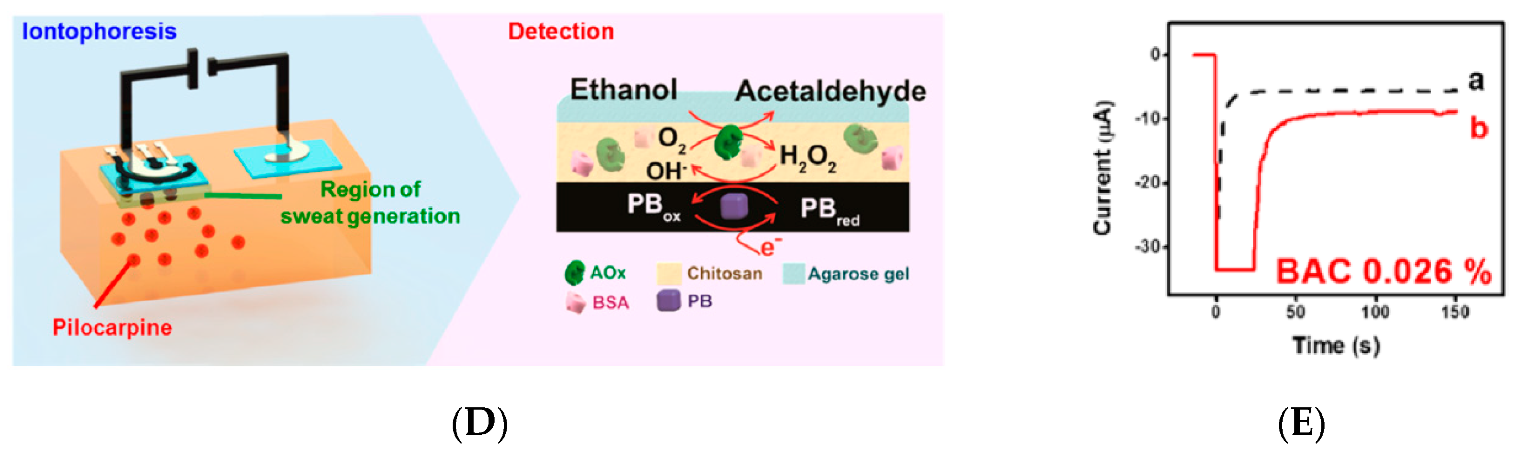 Sensors 19 04376 g030b