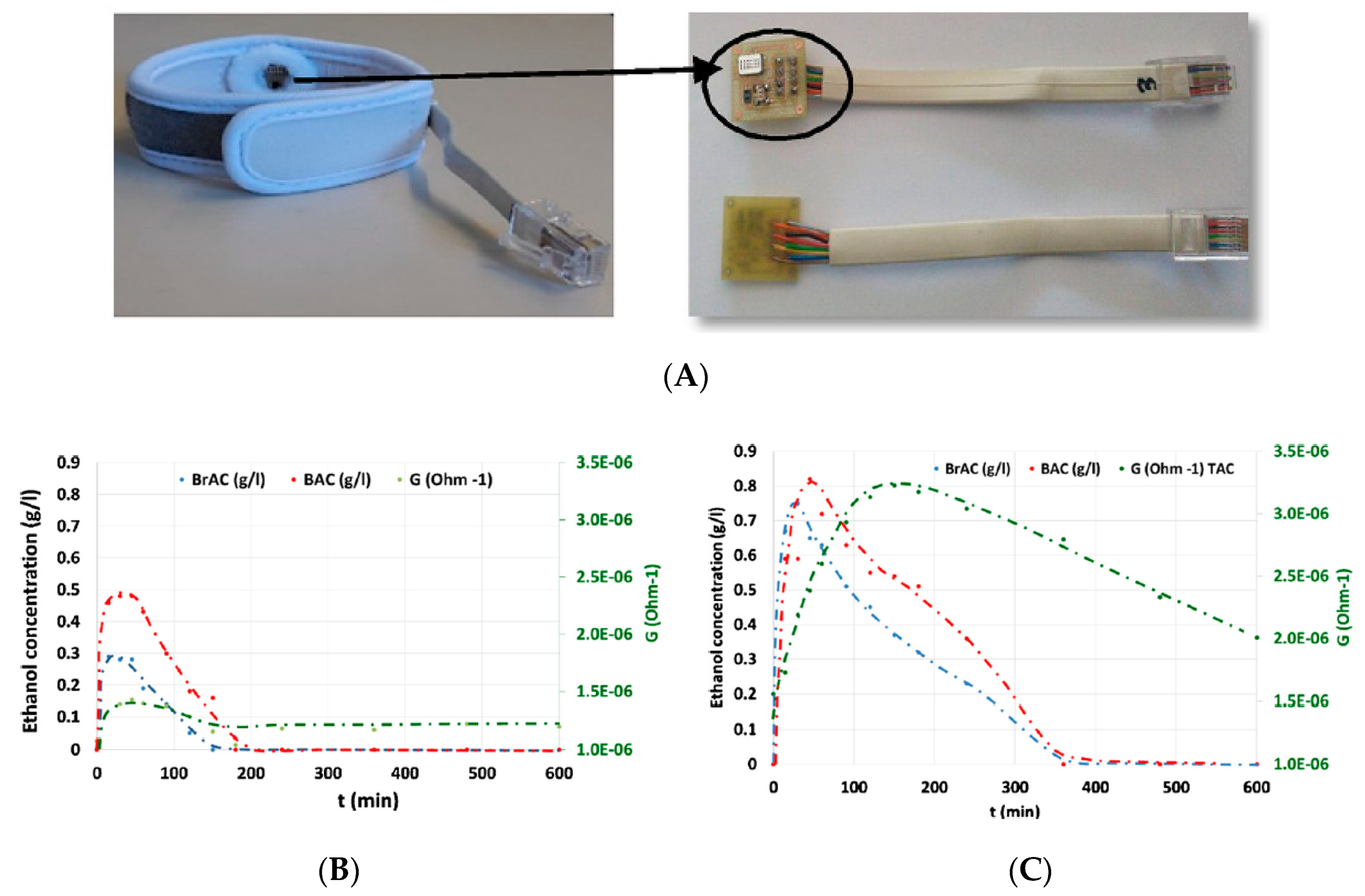 Sensors 19 04376 g032