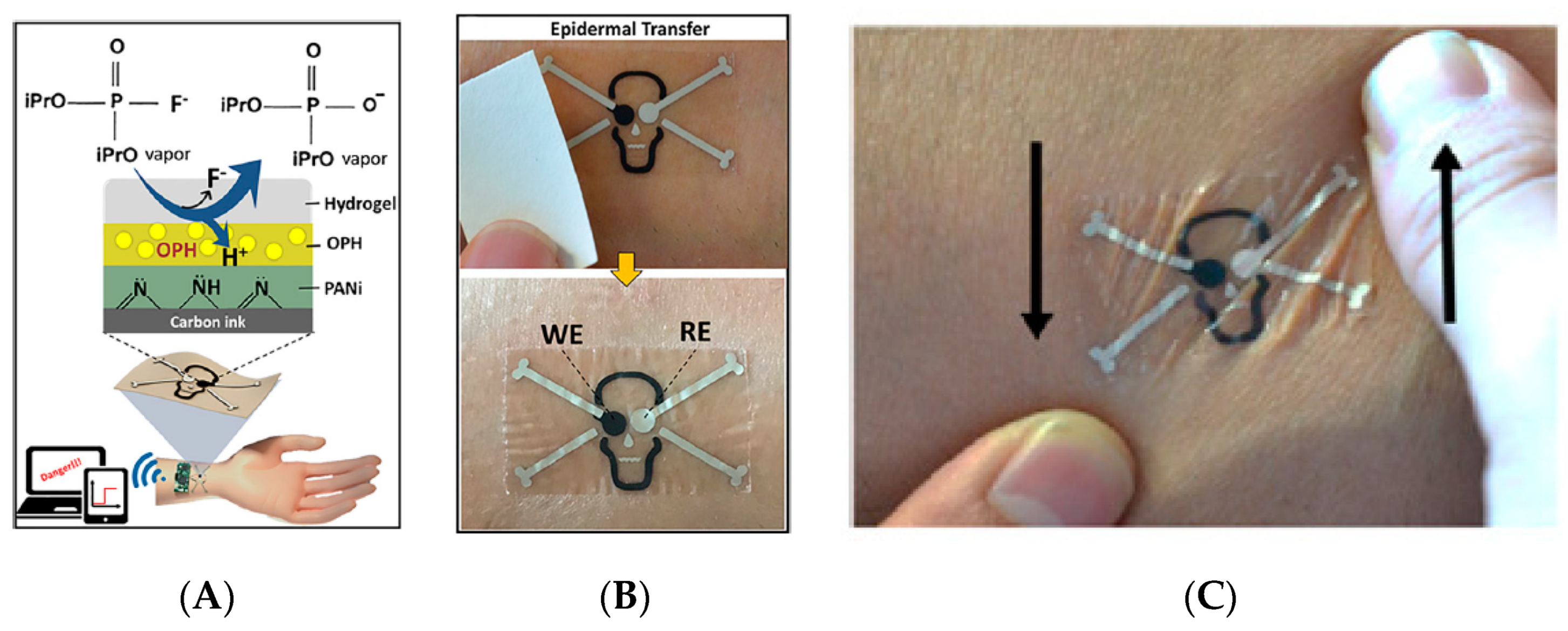 Sensors 19 04376 g033
