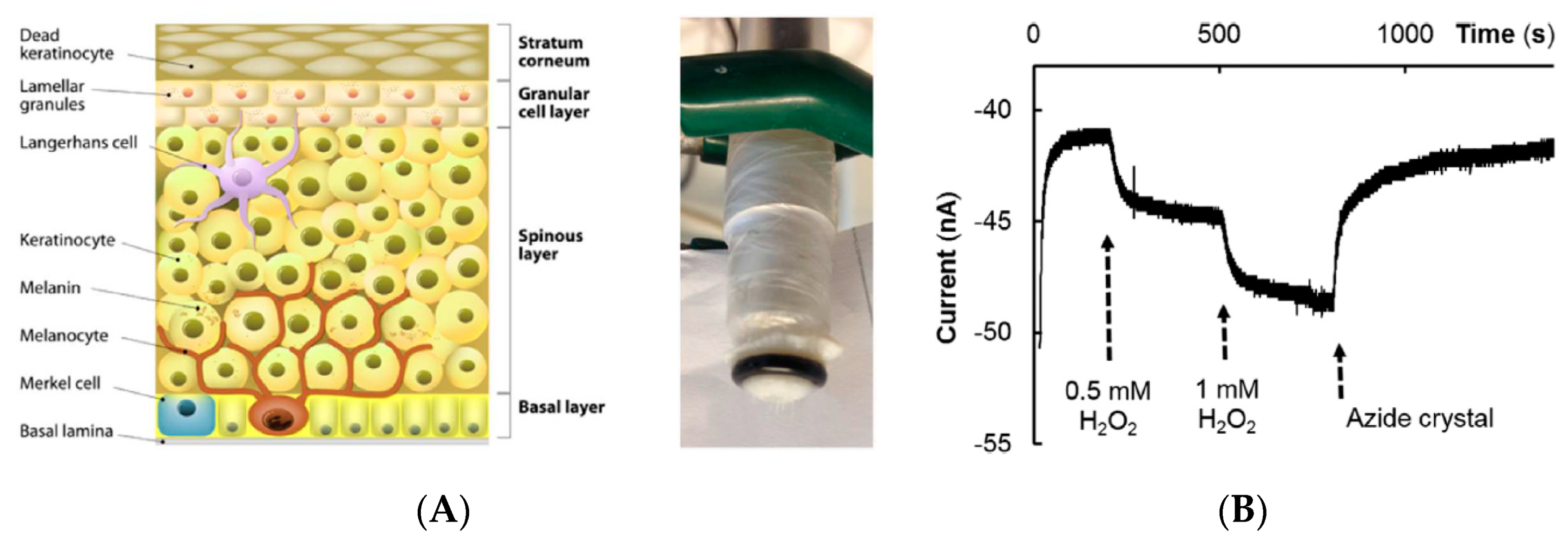 Sensors 19 04376 g036