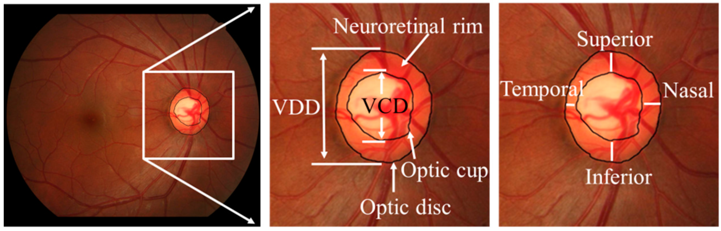 Sensors 19 04401 g001