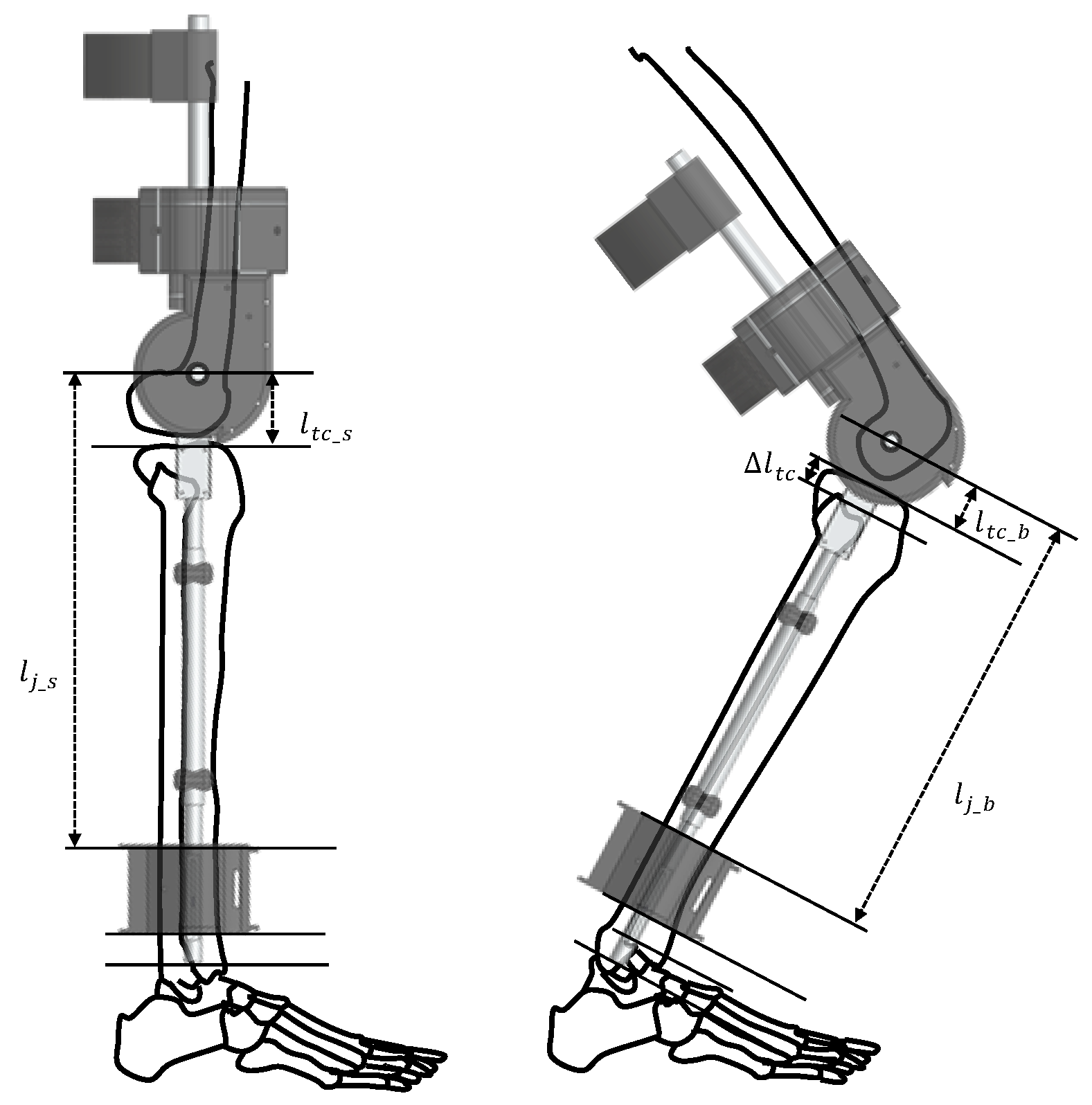 Sensors 19 04447 g004