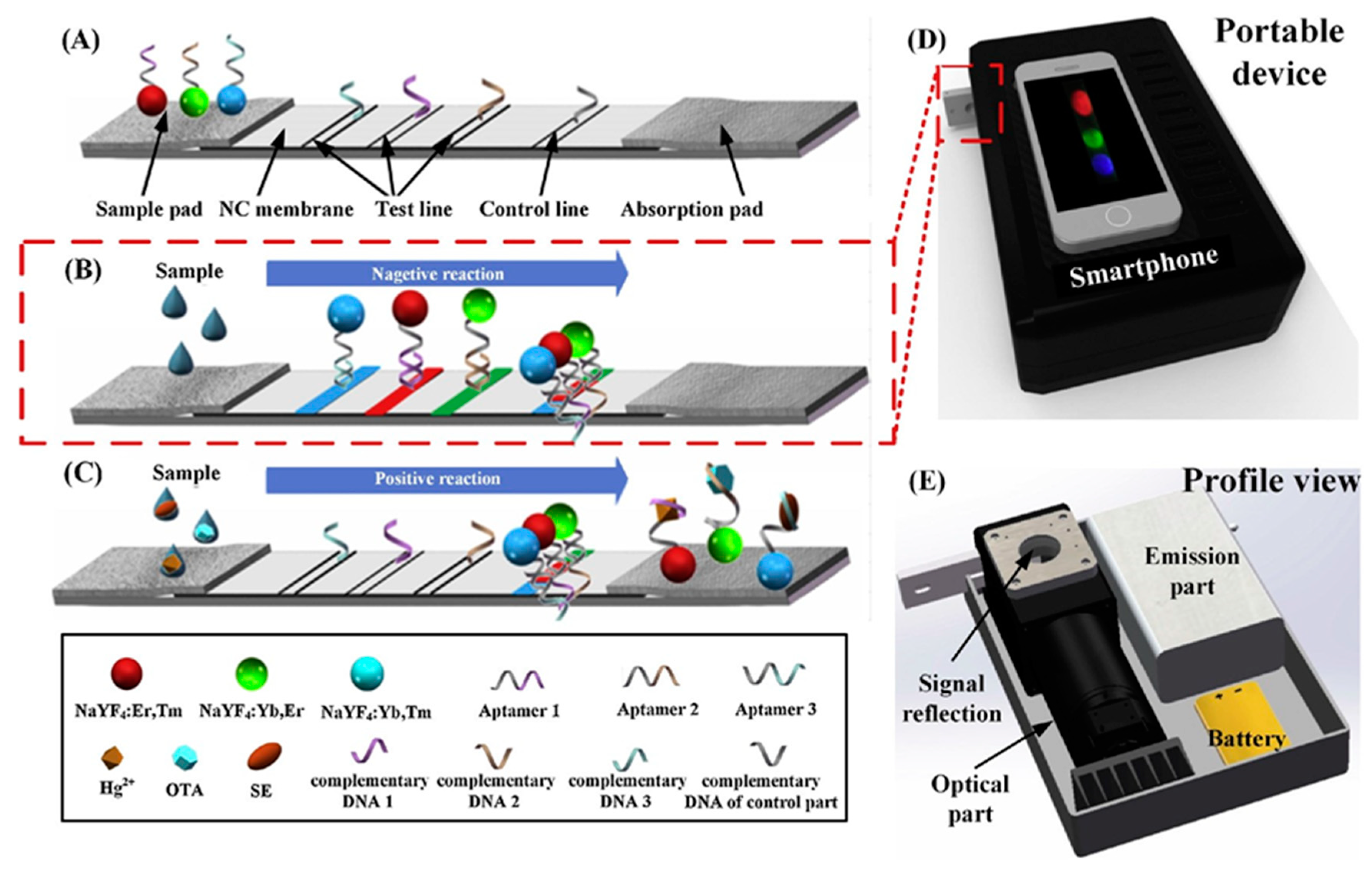 Sensors 19 04476 g005 Sensors 19 04476 g005