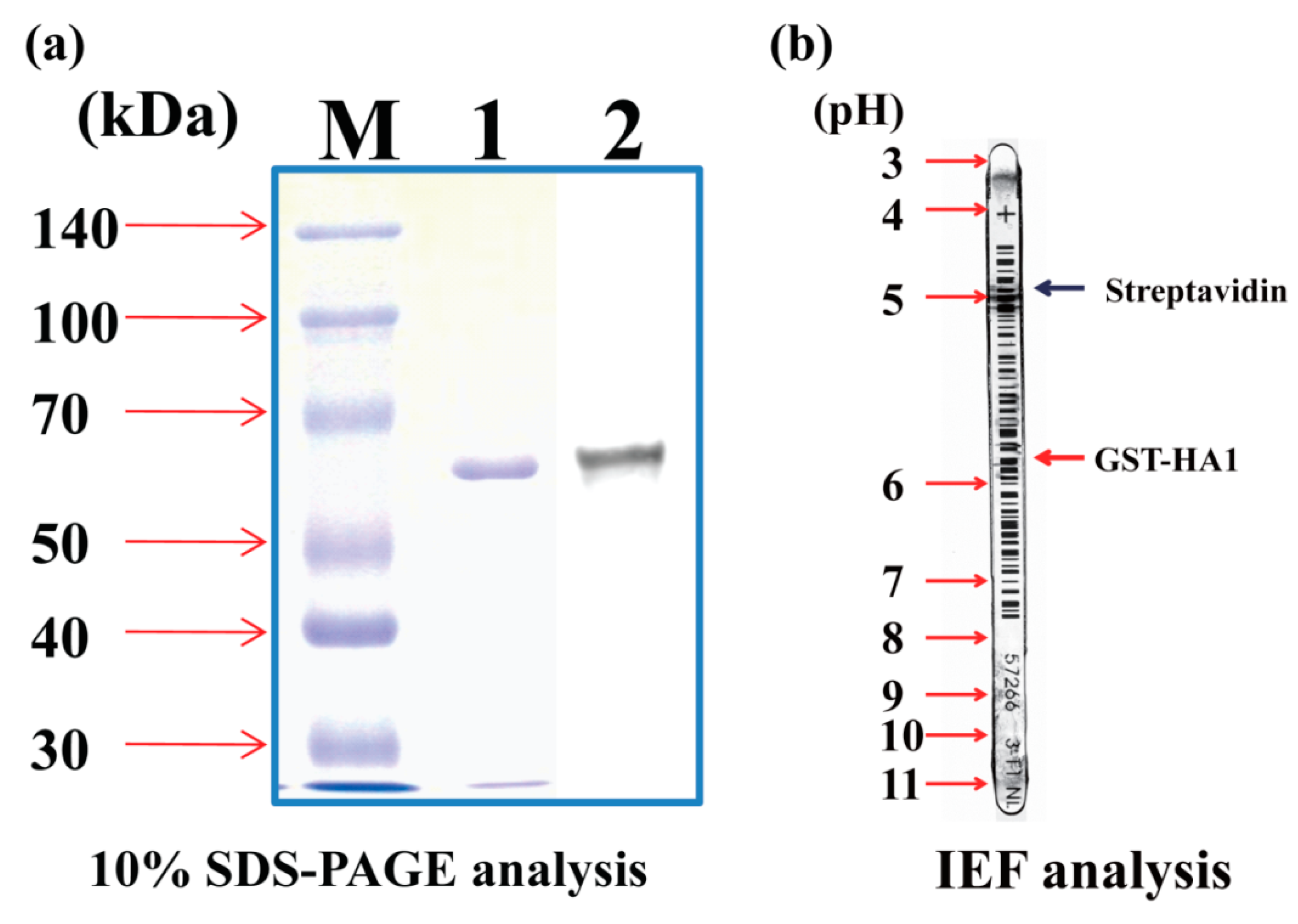 Sensors 19 04502 g002