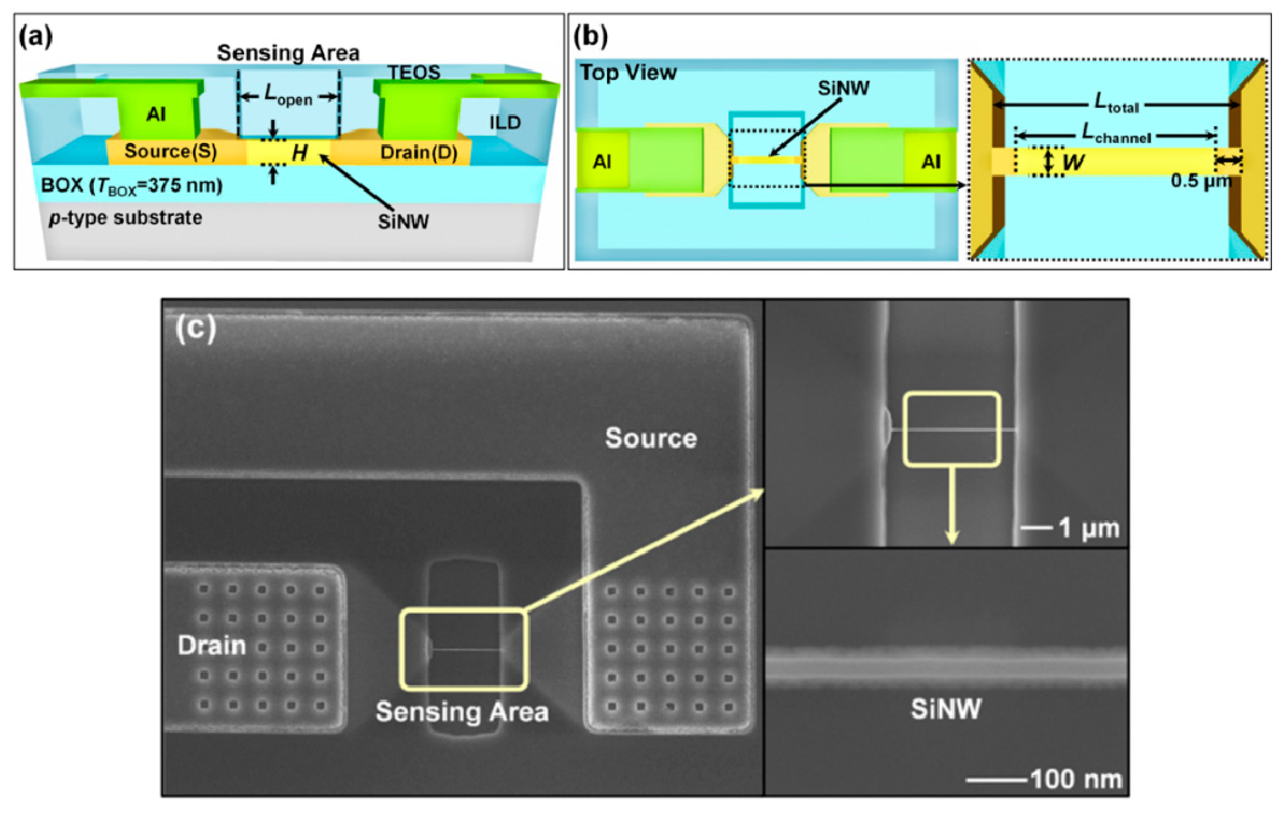 Sensors 19 04502 g004