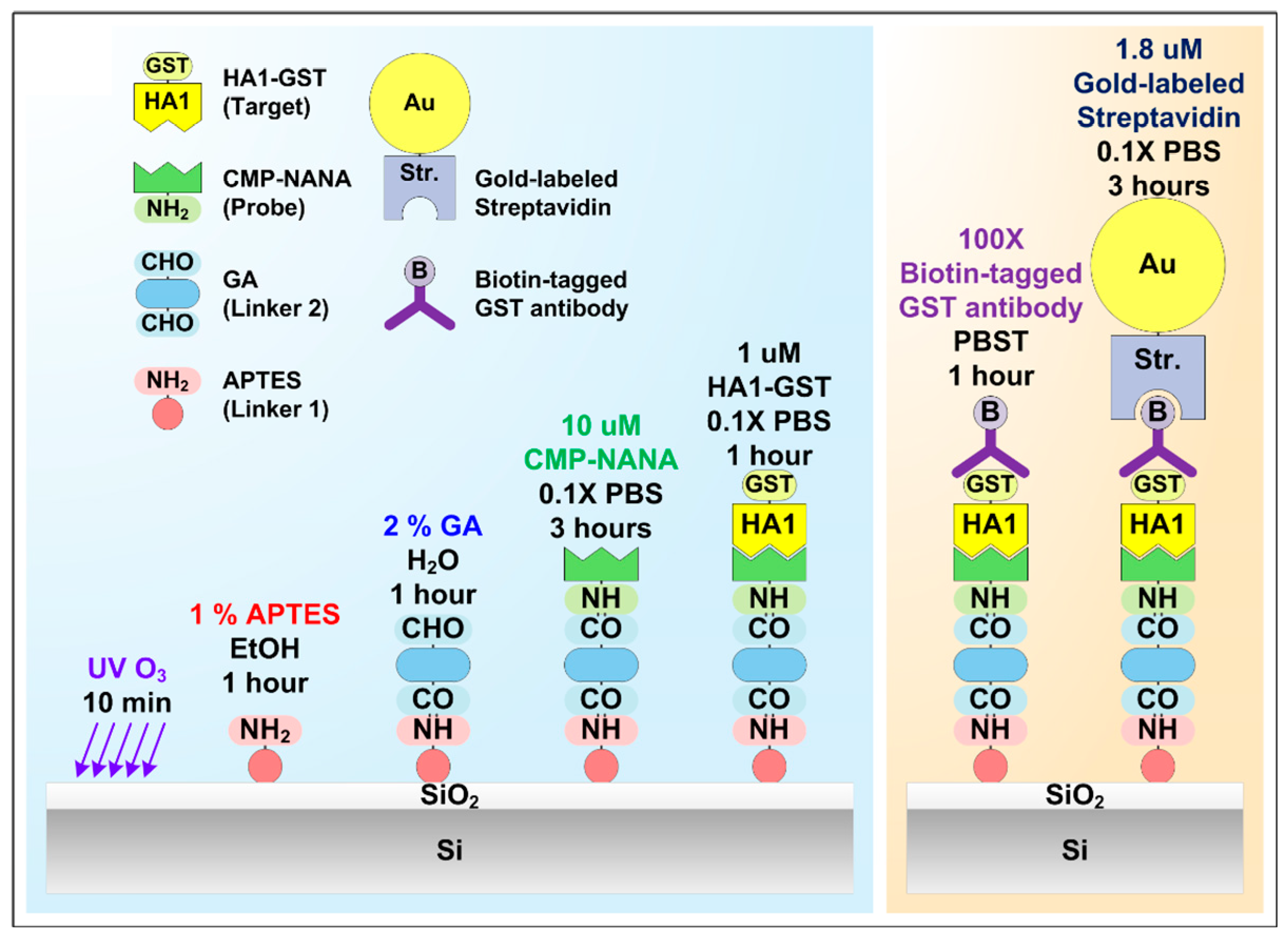 Sensors 19 04502 g005