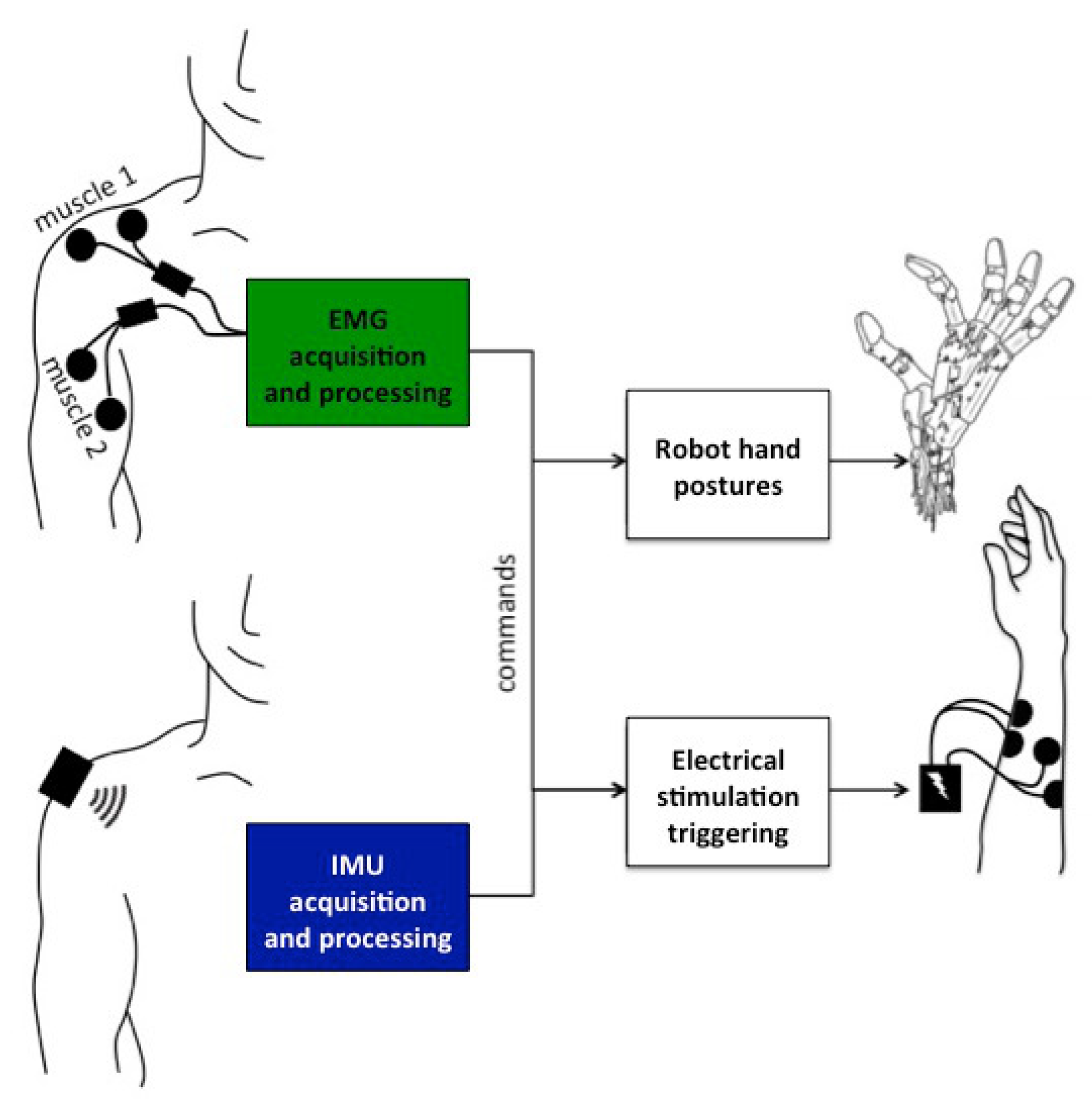Sensors 19 04532 g001