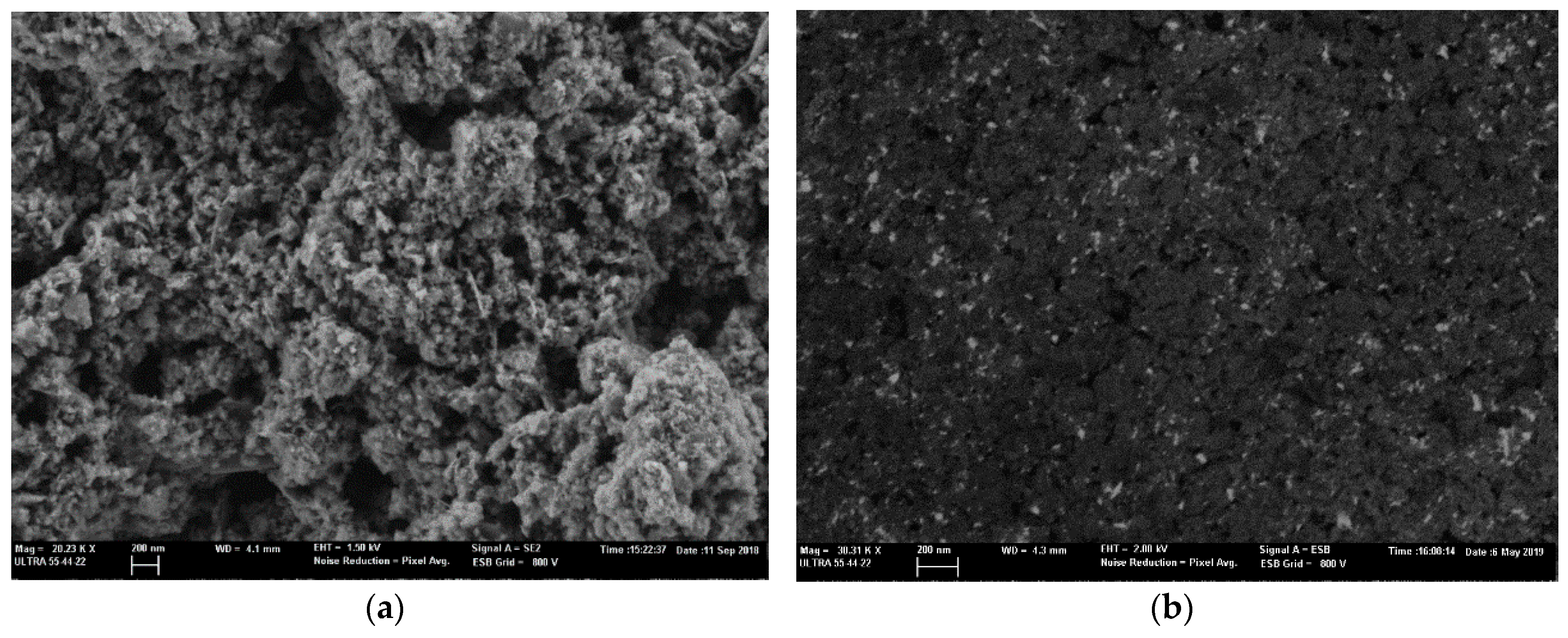 Sensors 19 04563 g002