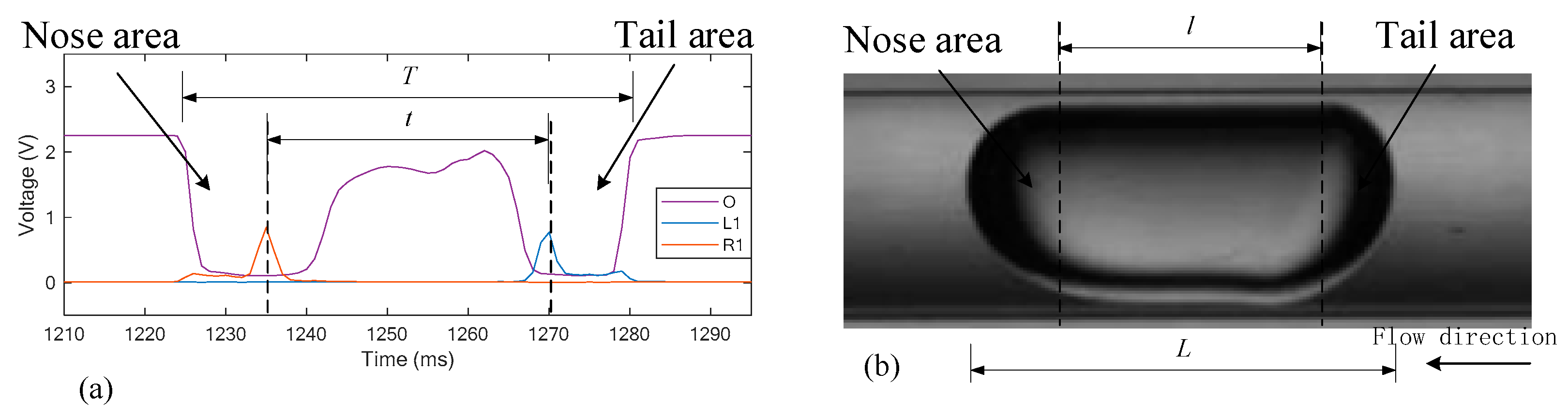 Sensors 19 04573 g005