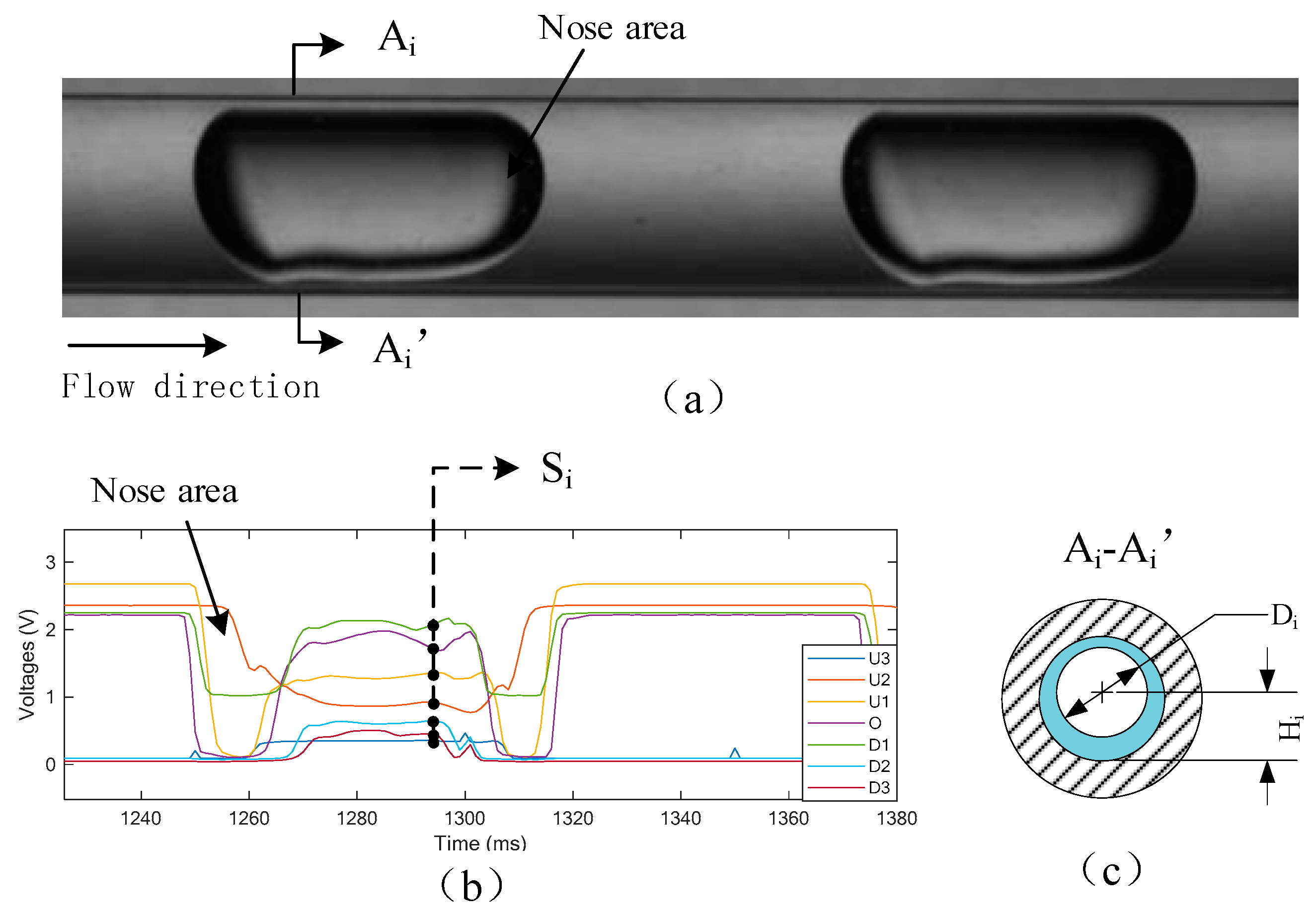 Sensors 19 04573 g007