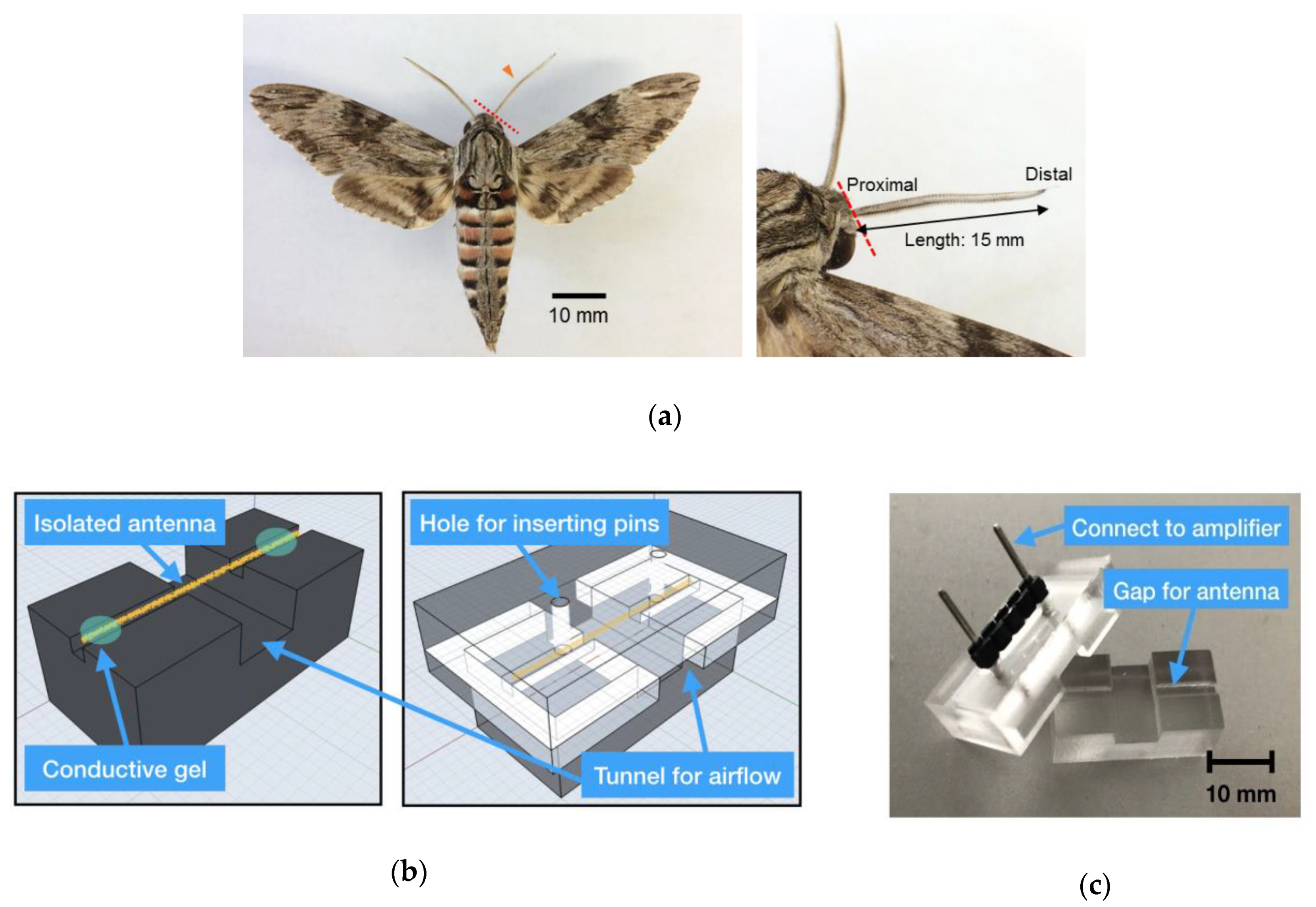 Sensors 19 04574 g001