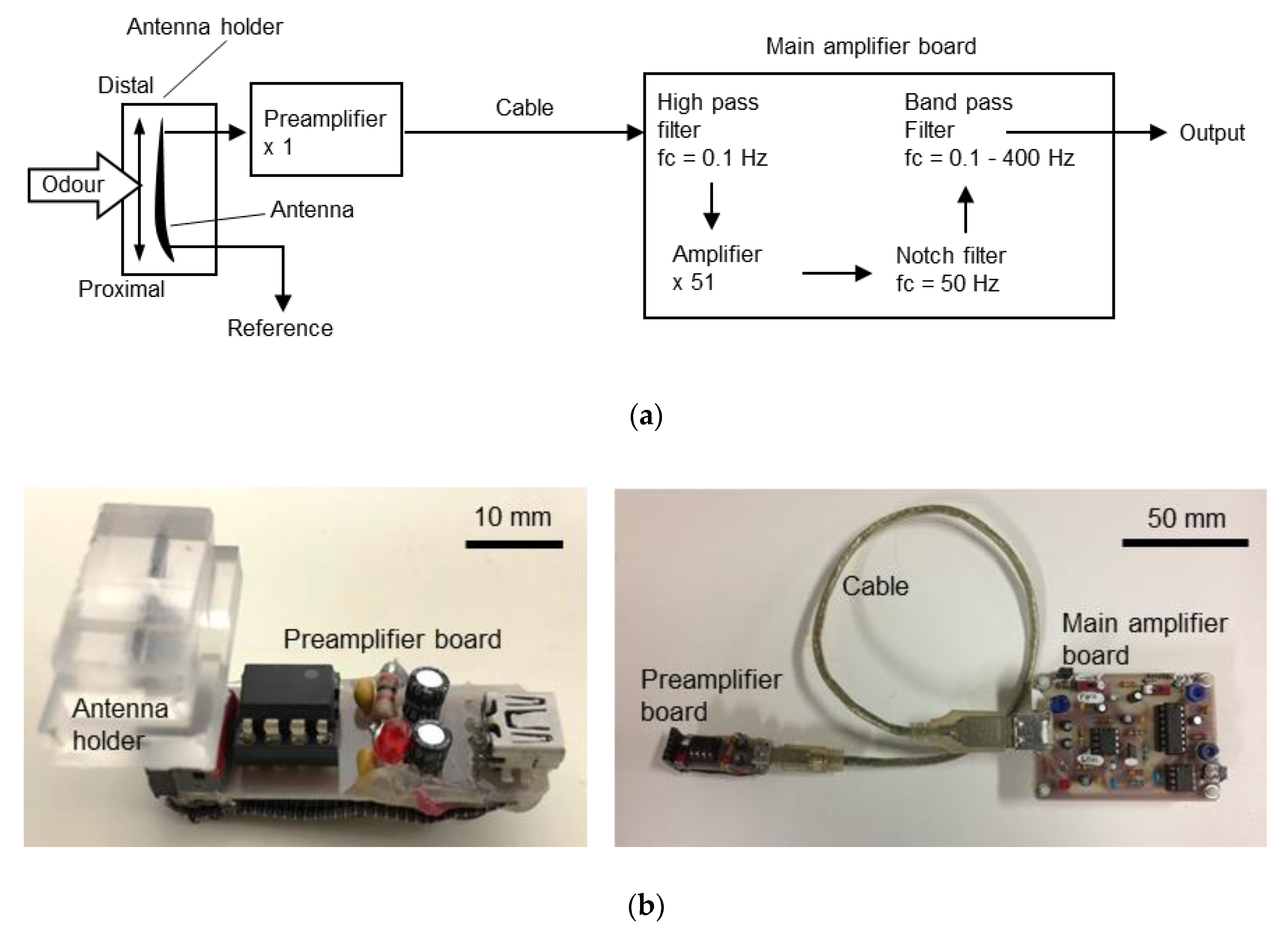 Sensors 19 04574 g002