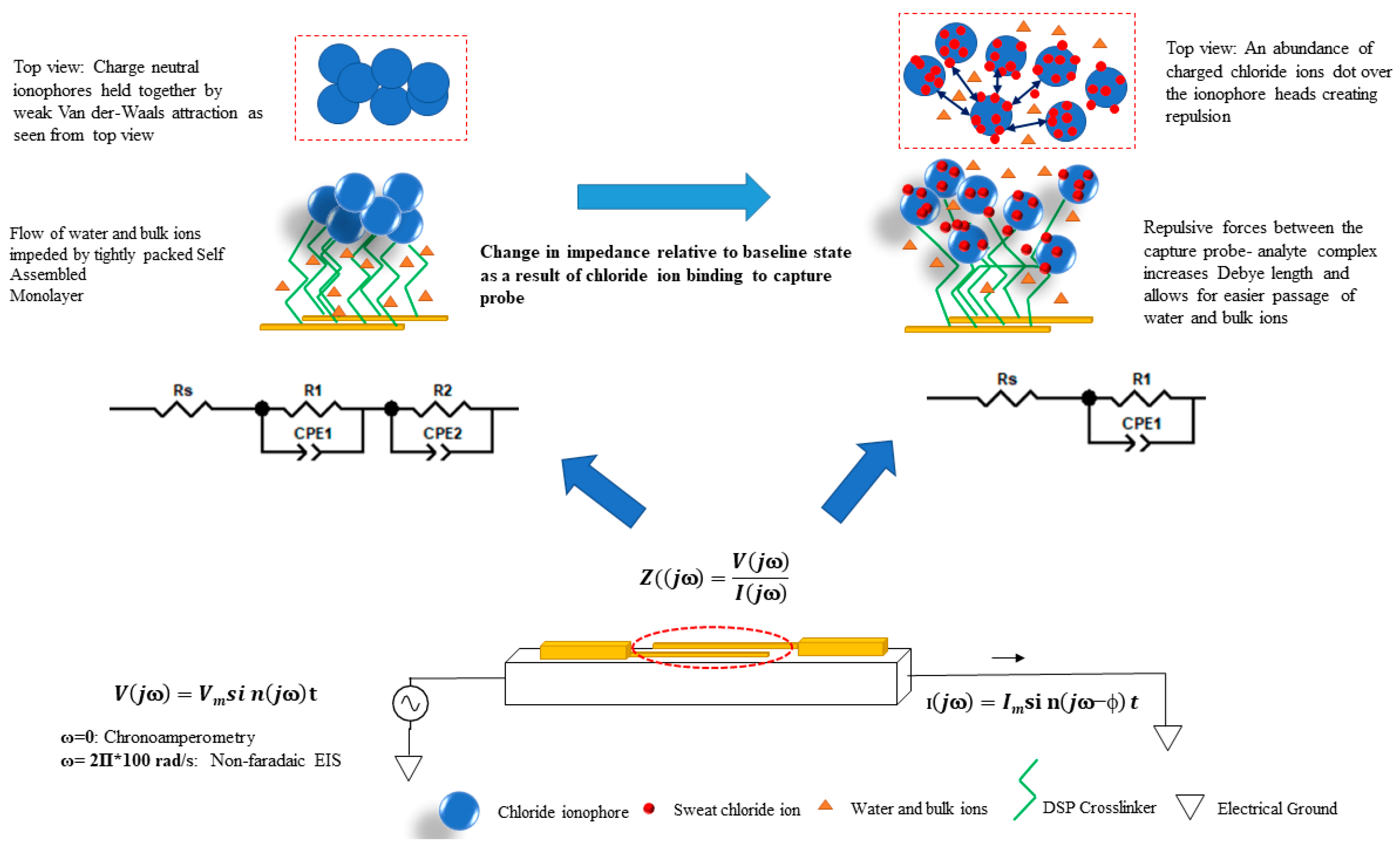 Sensors 19 04590 g002