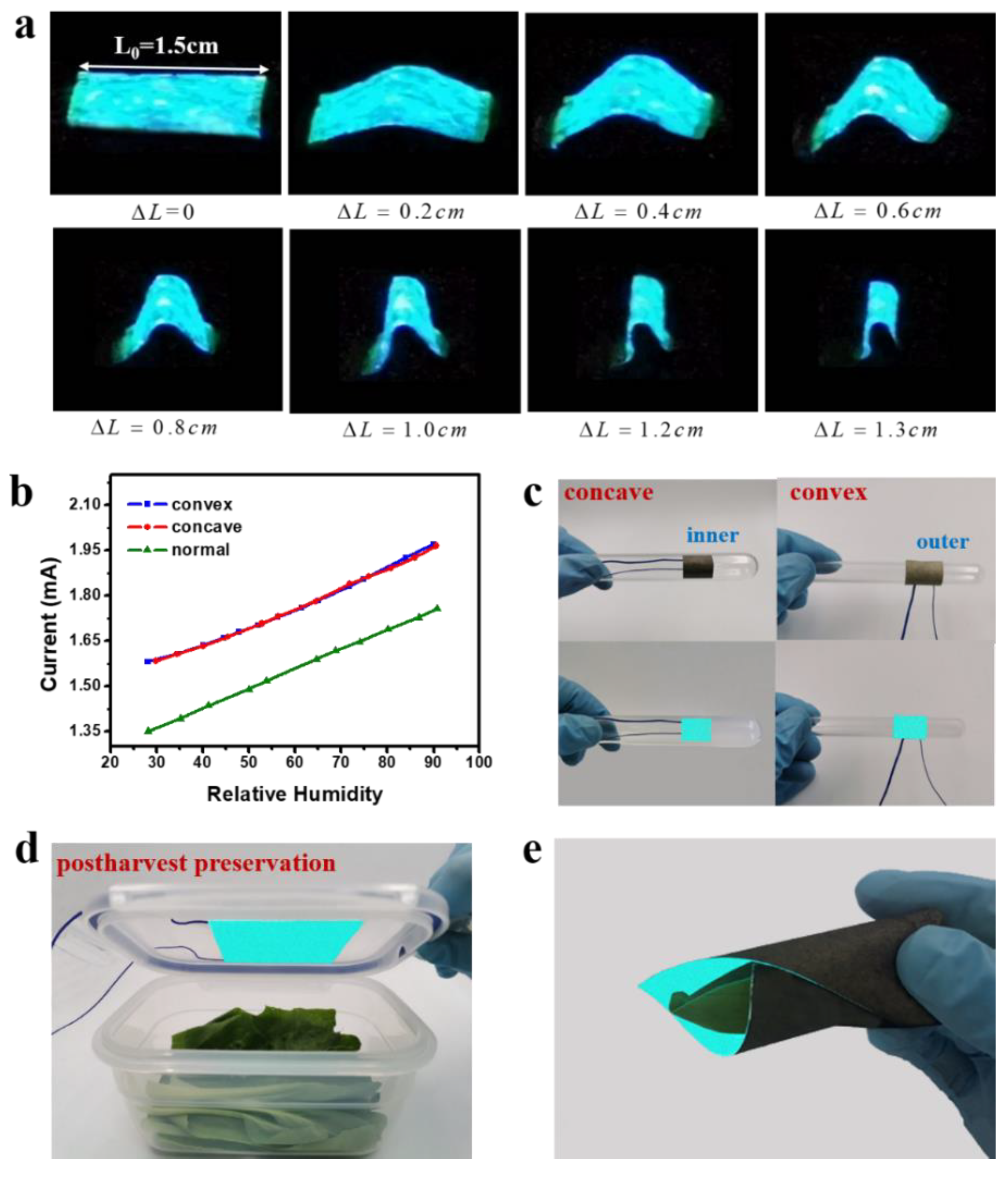 Sensors 19 04607 g006 Sensors 19 04607 g006