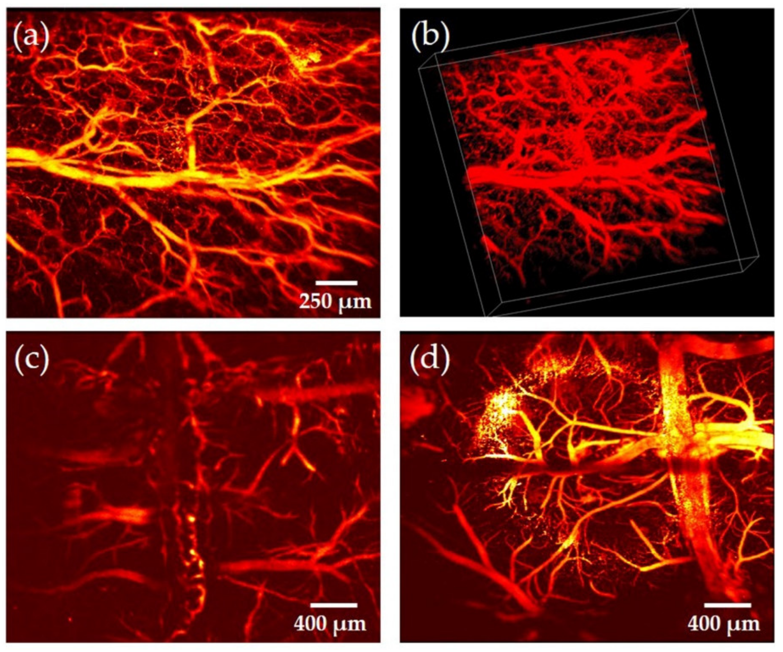 Sensors 19 04632 g012