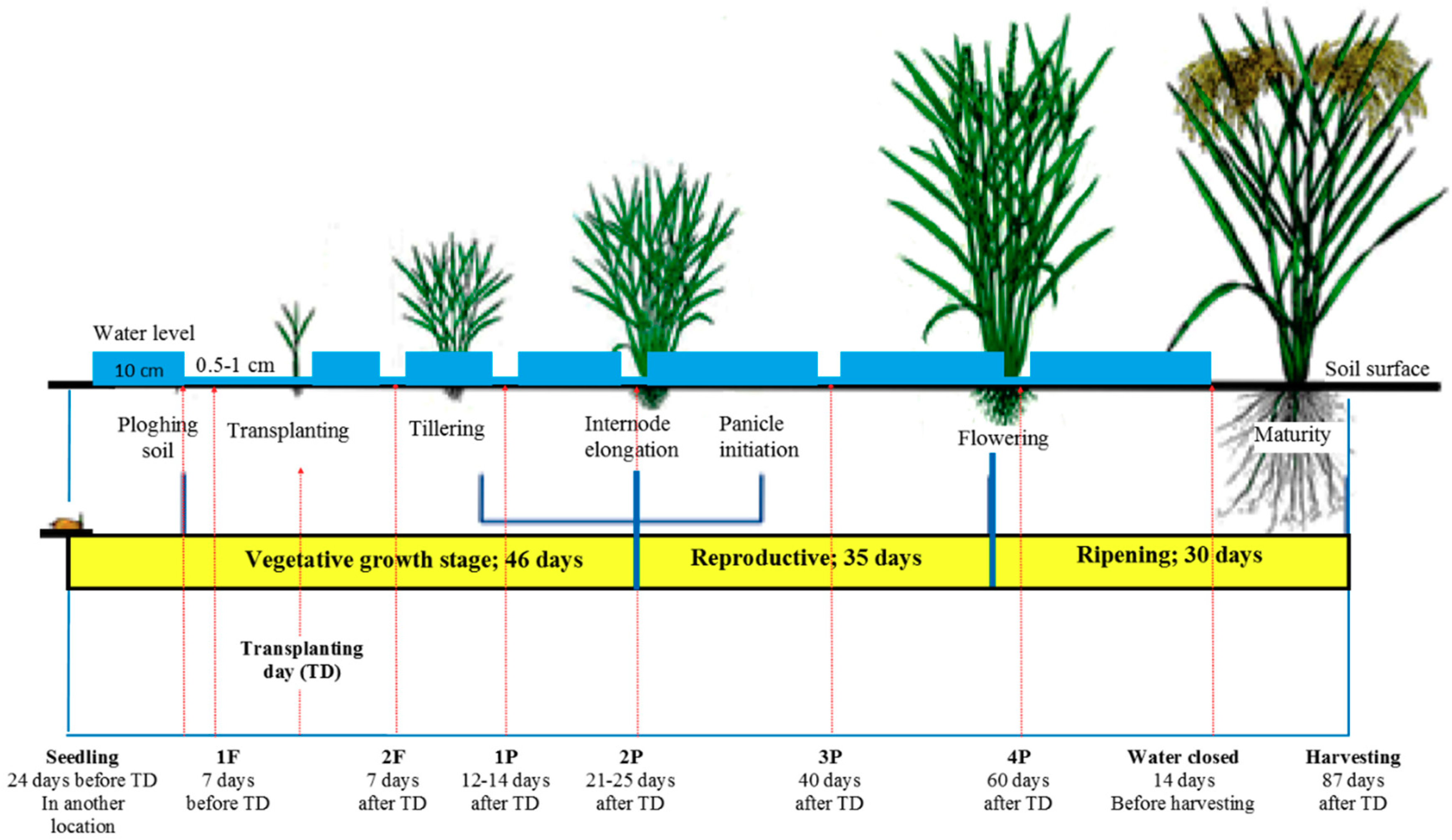 Sensors 19 04647 g001 Sensors 19 04647 g001