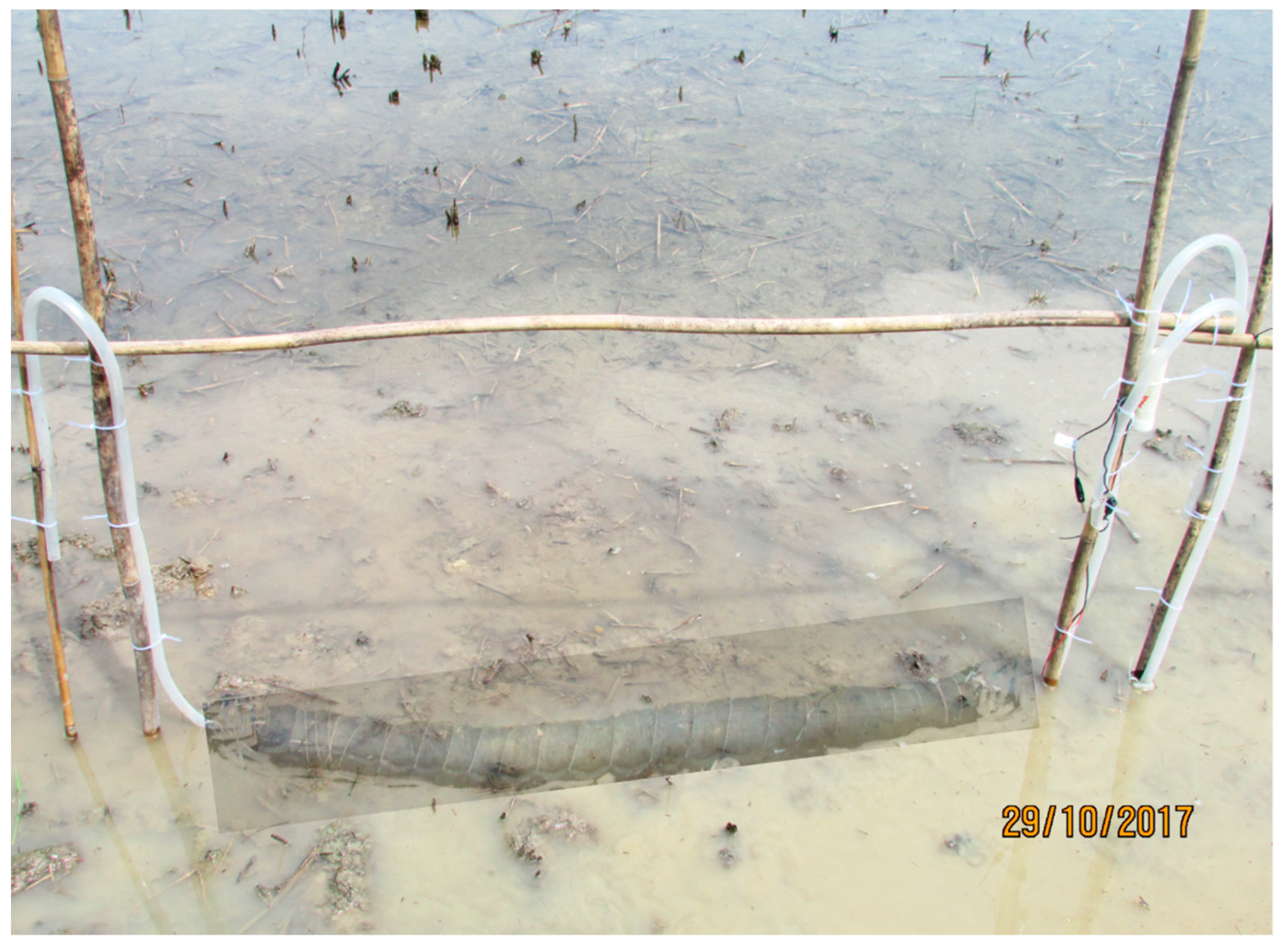 Sensors 19 04647 g003 Sensors 19 04647 g003