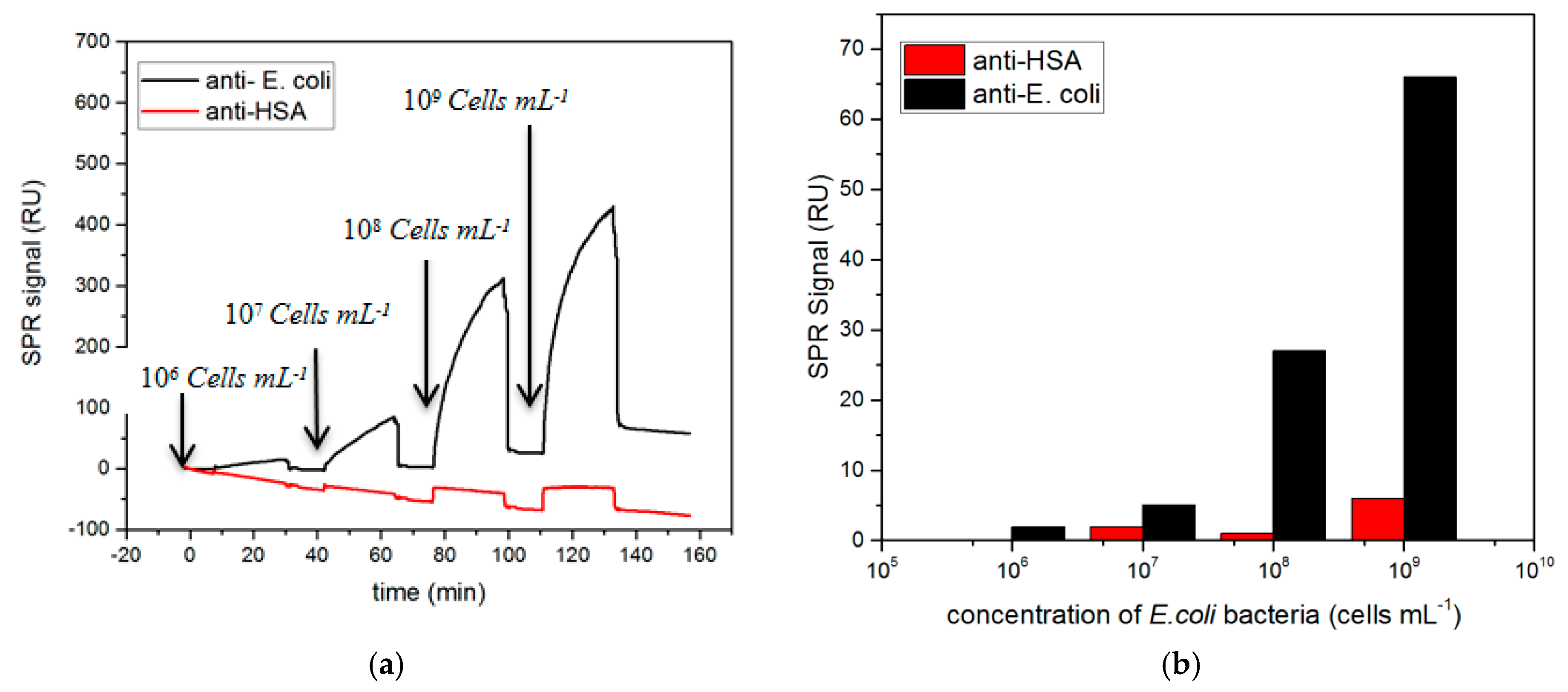 Sensors 19 04652 g003