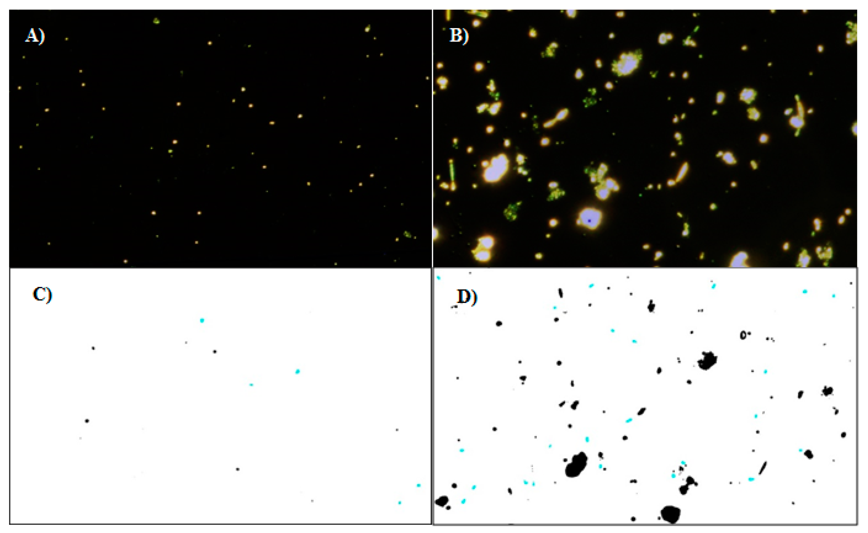 Sensors 19 04652 g007