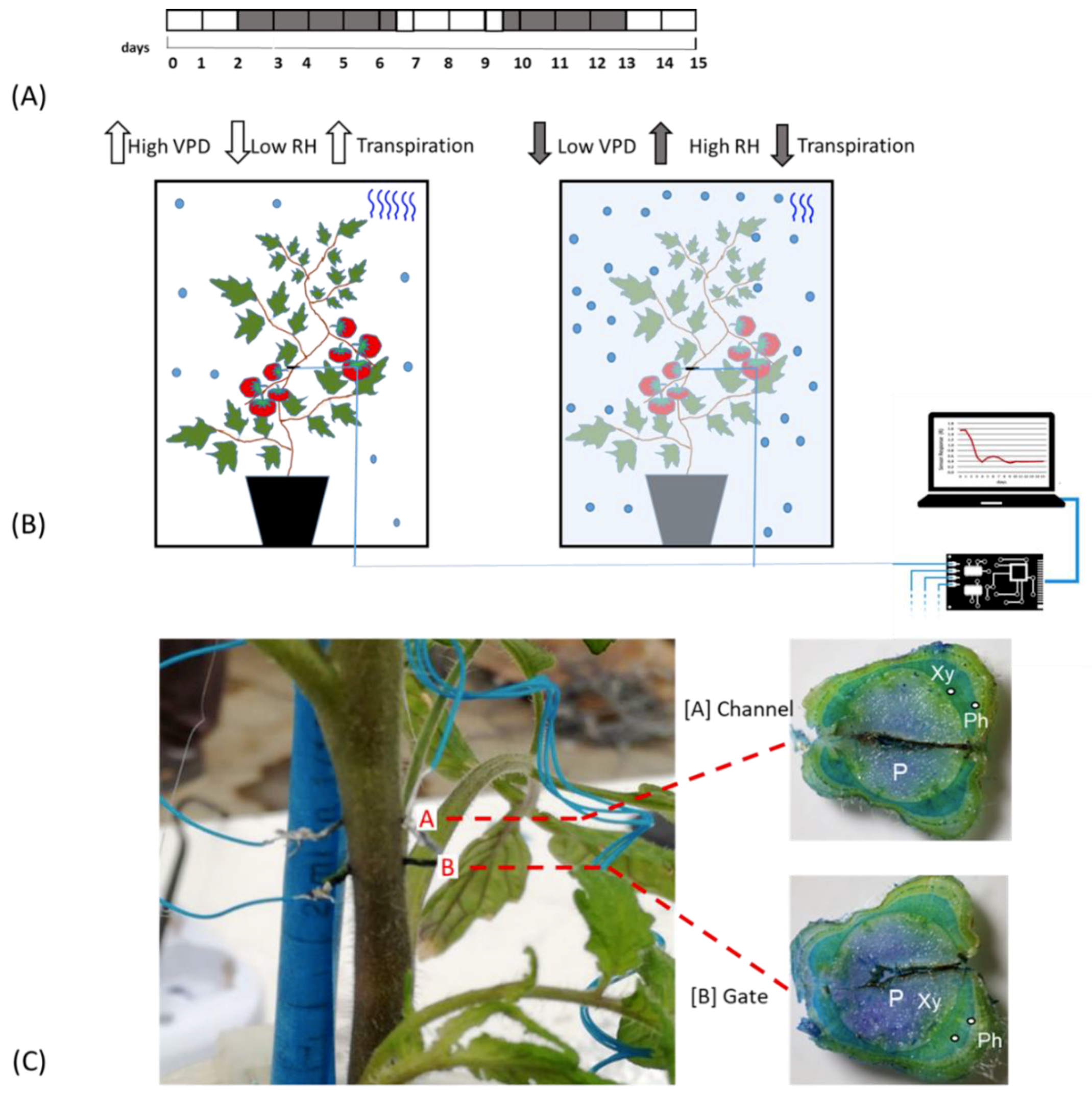 Sensors 19 04667 g001