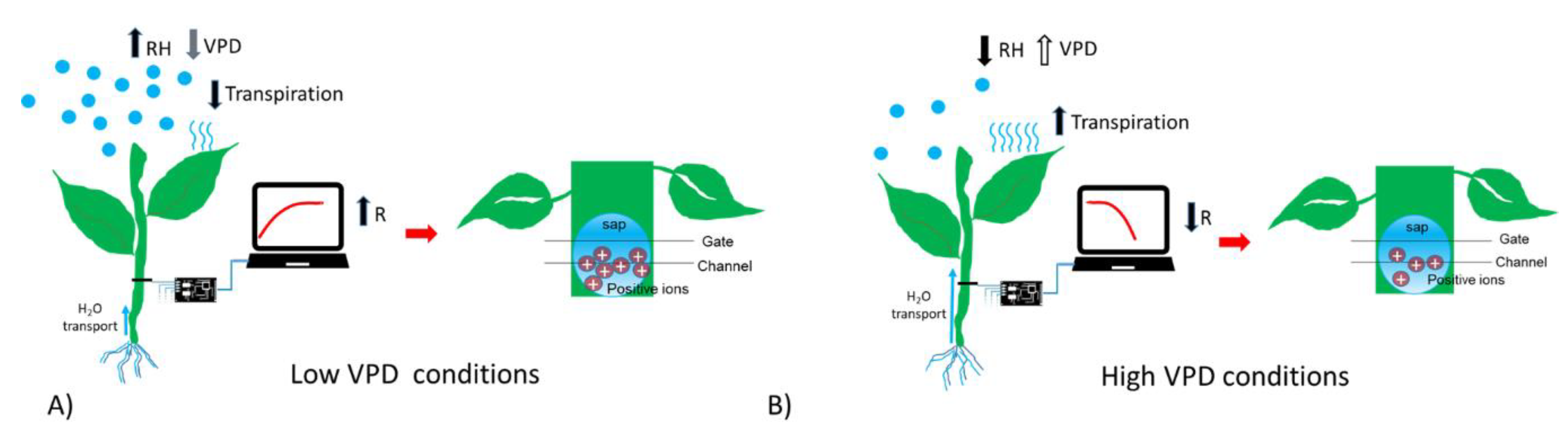 Sensors 19 04667 g004
