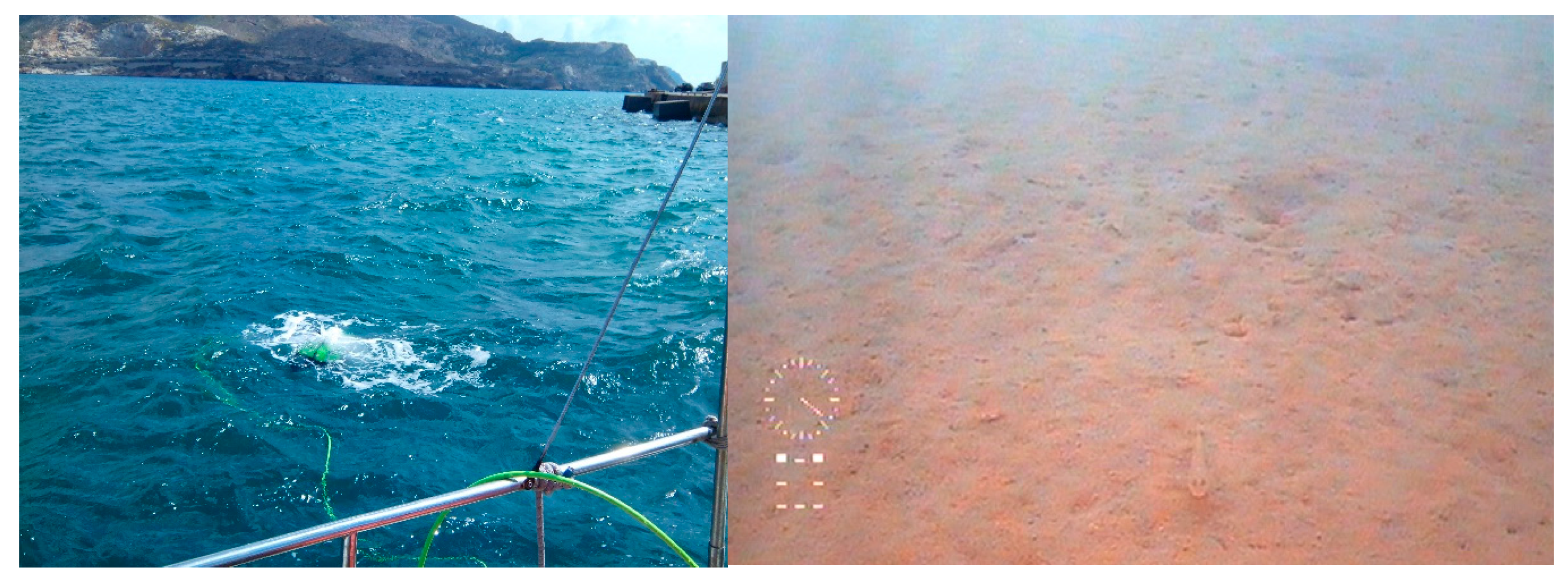 Sensors 19 04672 g005