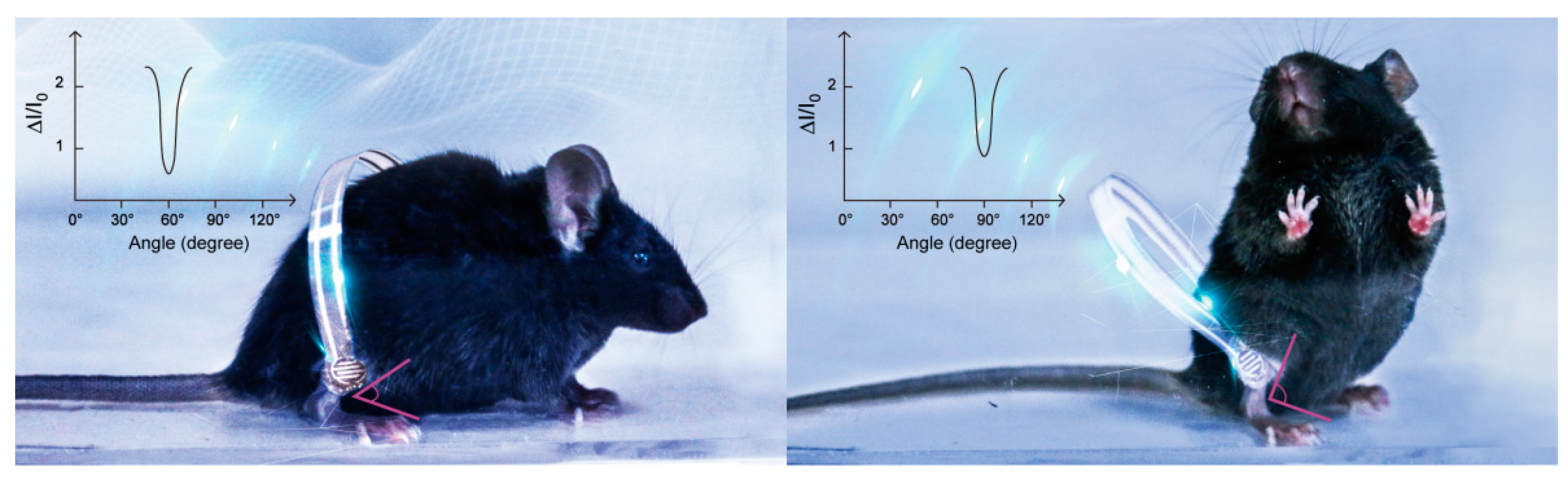 Sensors 19 04673 g001 Sensors 19 04673 g001