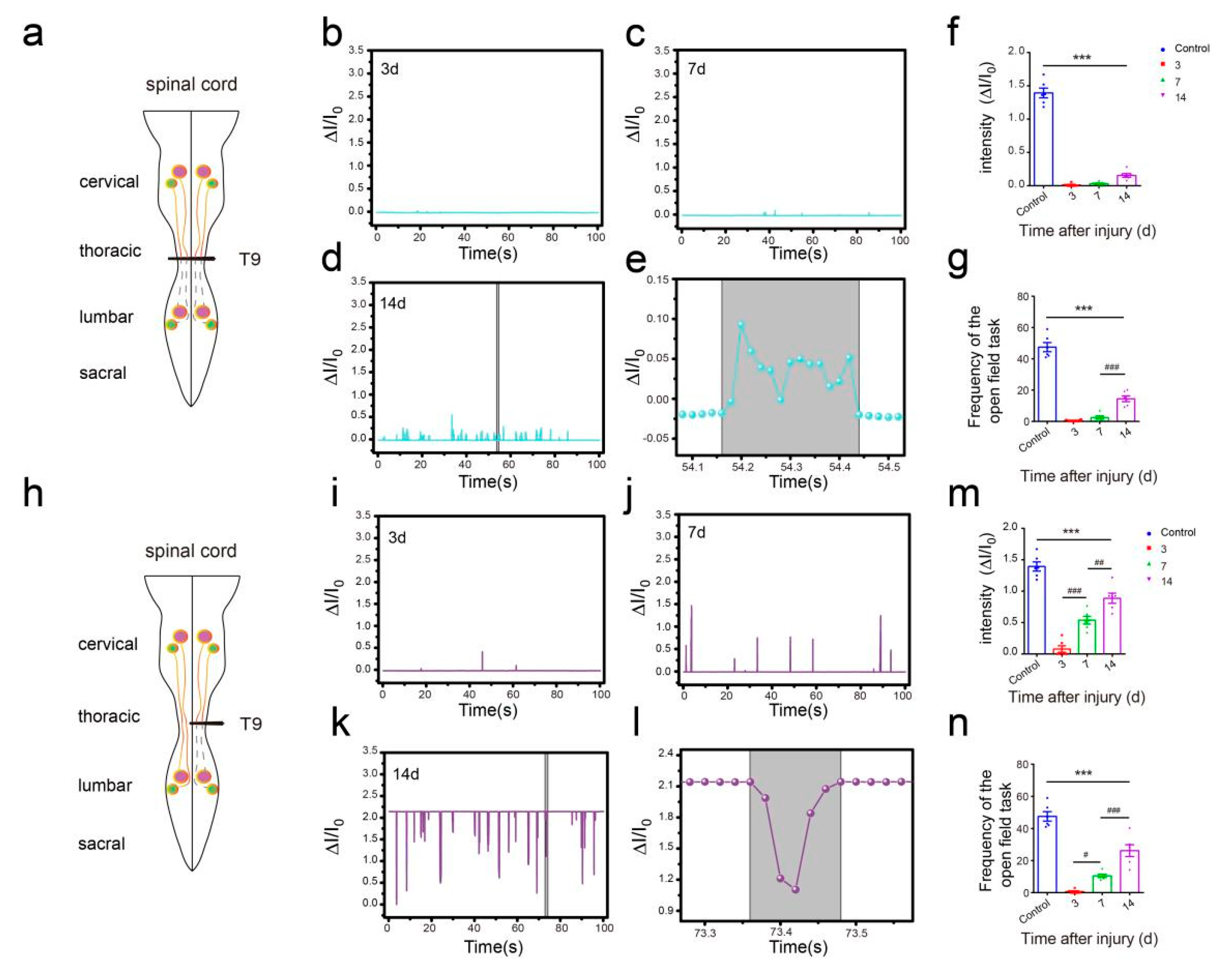 Sensors 19 04673 g006 Sensors 19 04673 g006