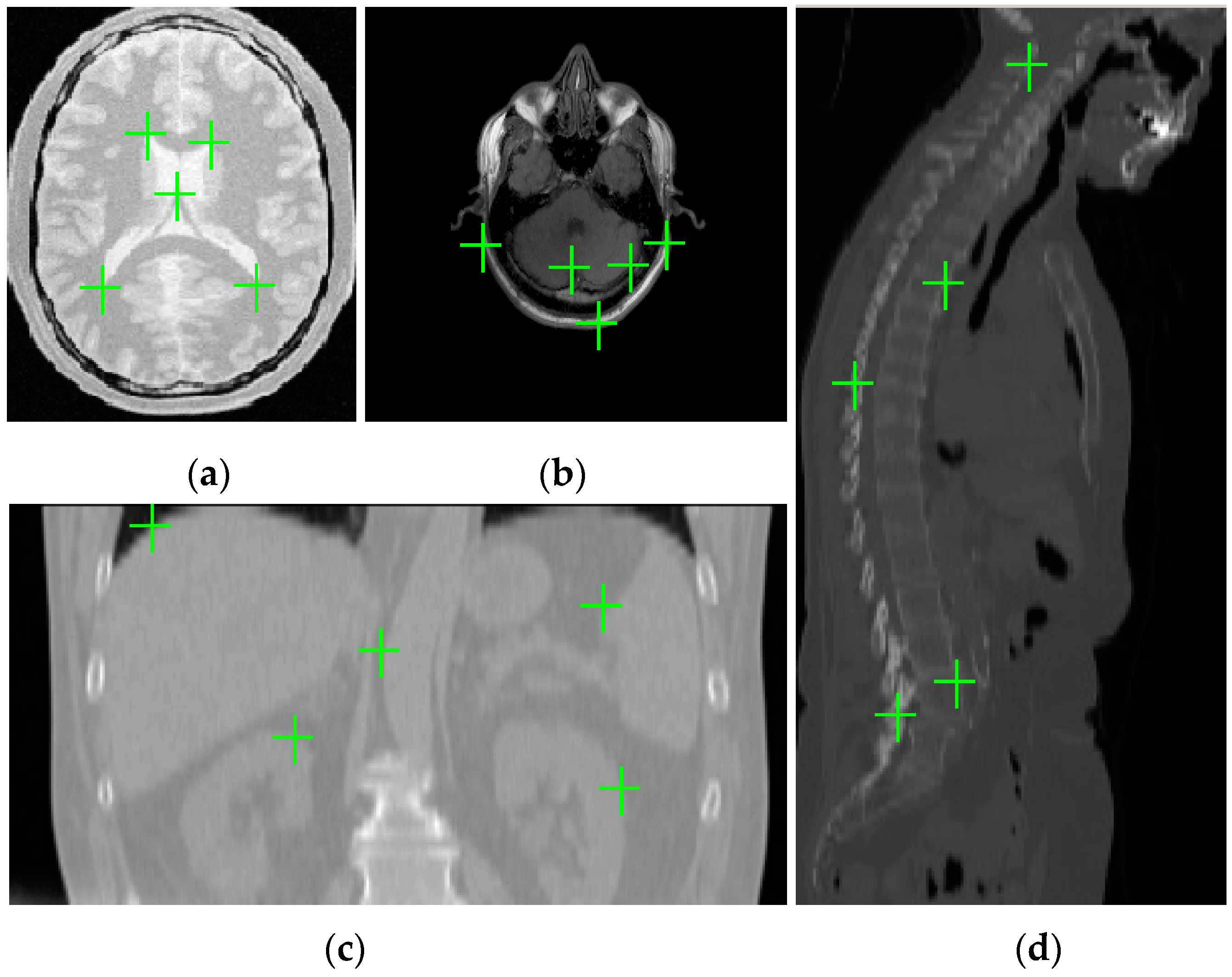 Sensors 19 04675 g004