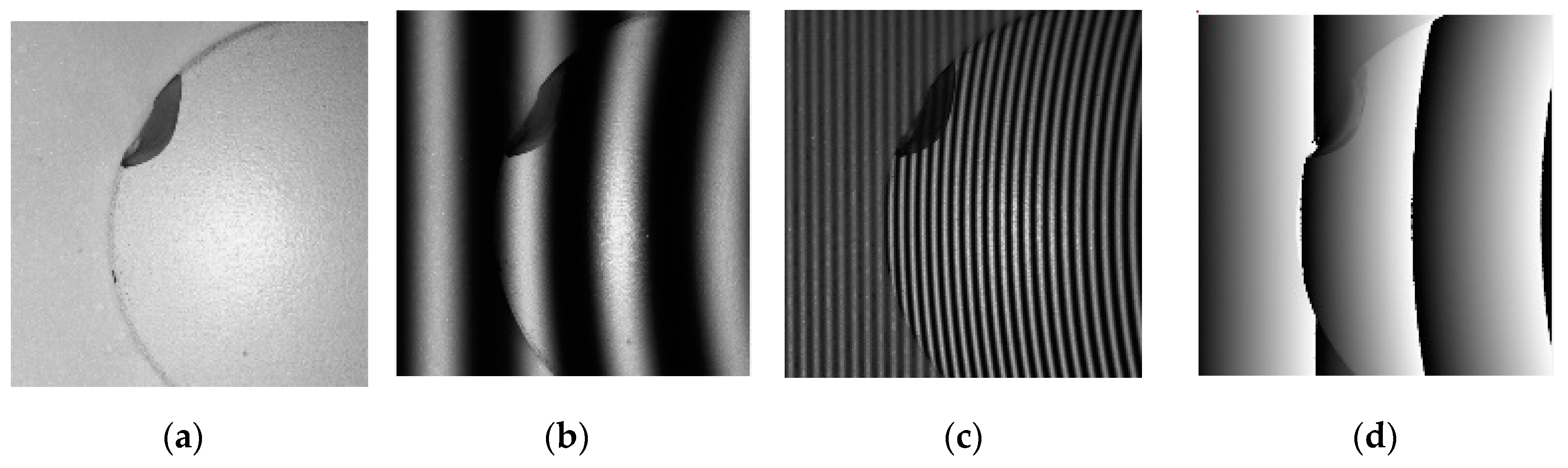 Sensors 19 04683 g010a